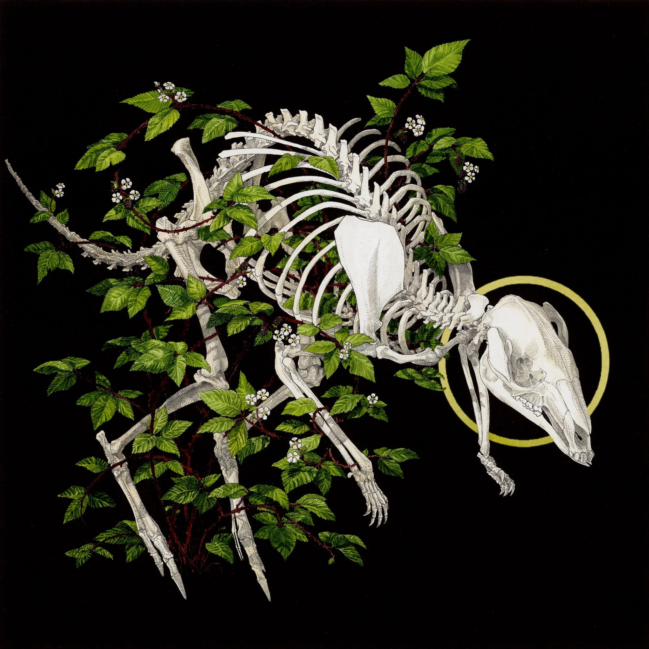 strangled website.jpeg