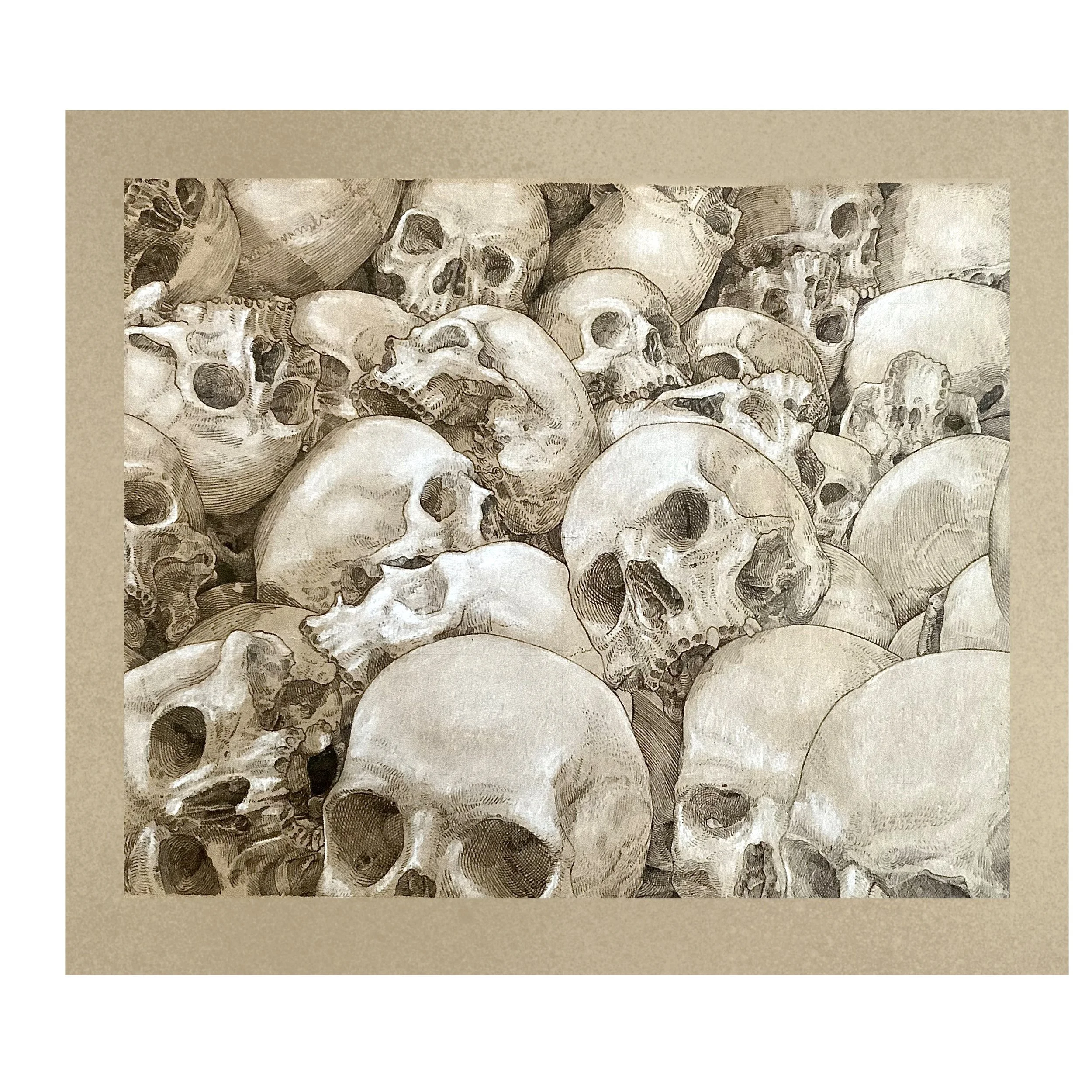 DPower_RonMuekSkulls_2020.jpg