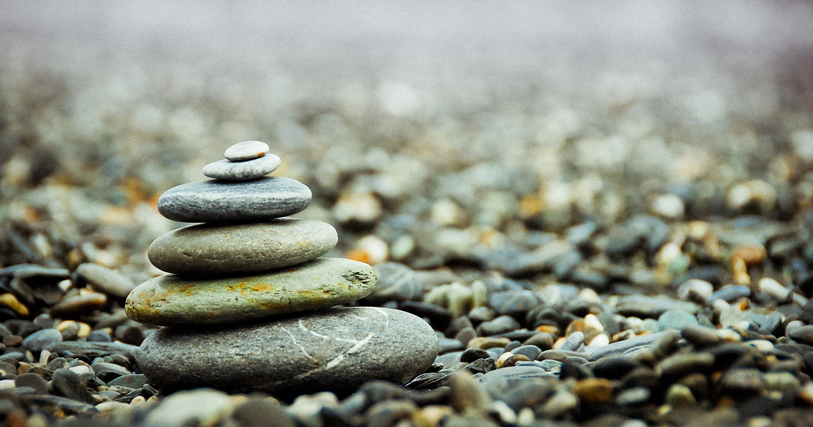 johnson-wang-qG-hPxoAnRE-unsplash.jpg