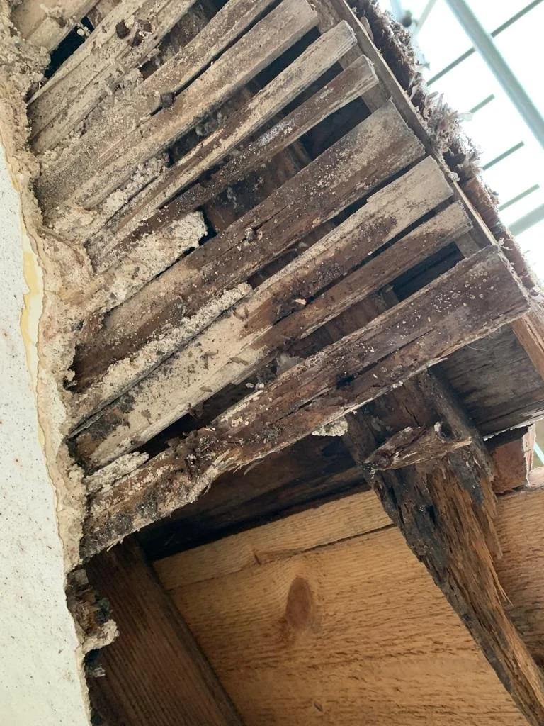 PHOTO-2023-01-03-14-25-49 9.JPG