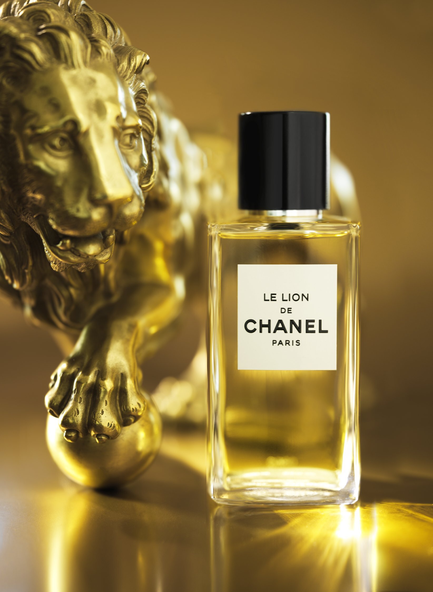 Untamed - Le Lion De Chanel — Dossier Magazine