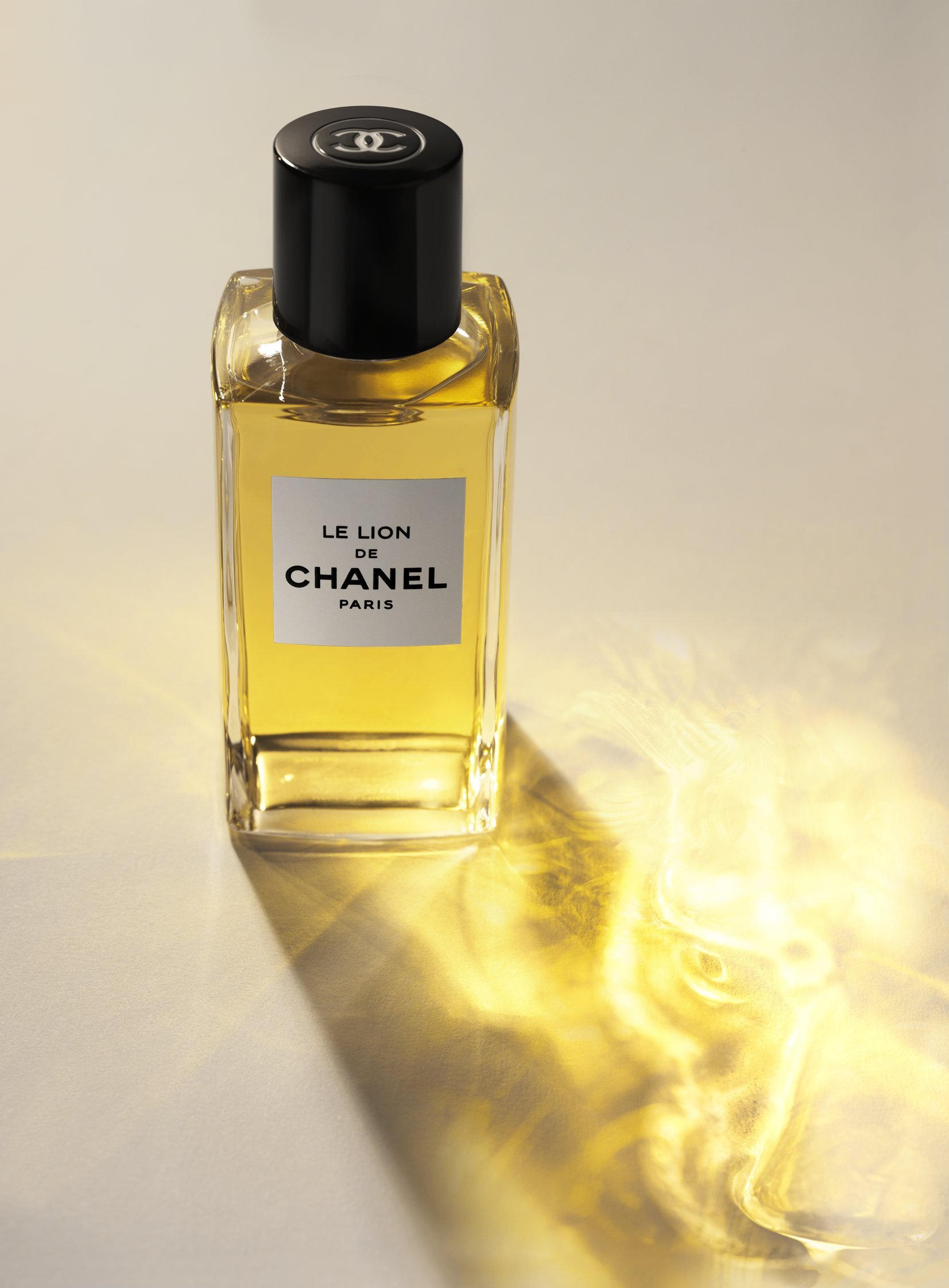Untamed - Le Lion De Chanel — Dossier Magazine