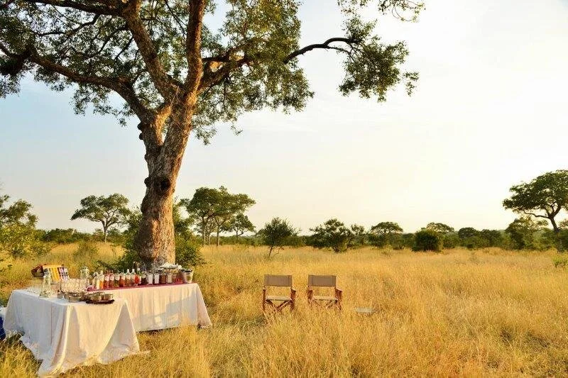 hamiltons_tented_camp_-_gin_stop_view.jpg