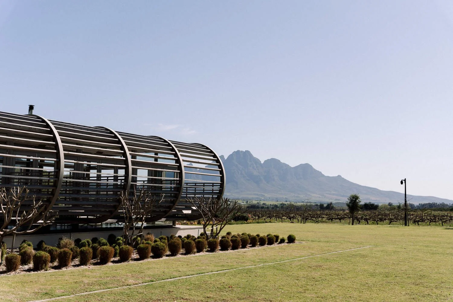 Paserene The Nest exterior HR (1).jpg
