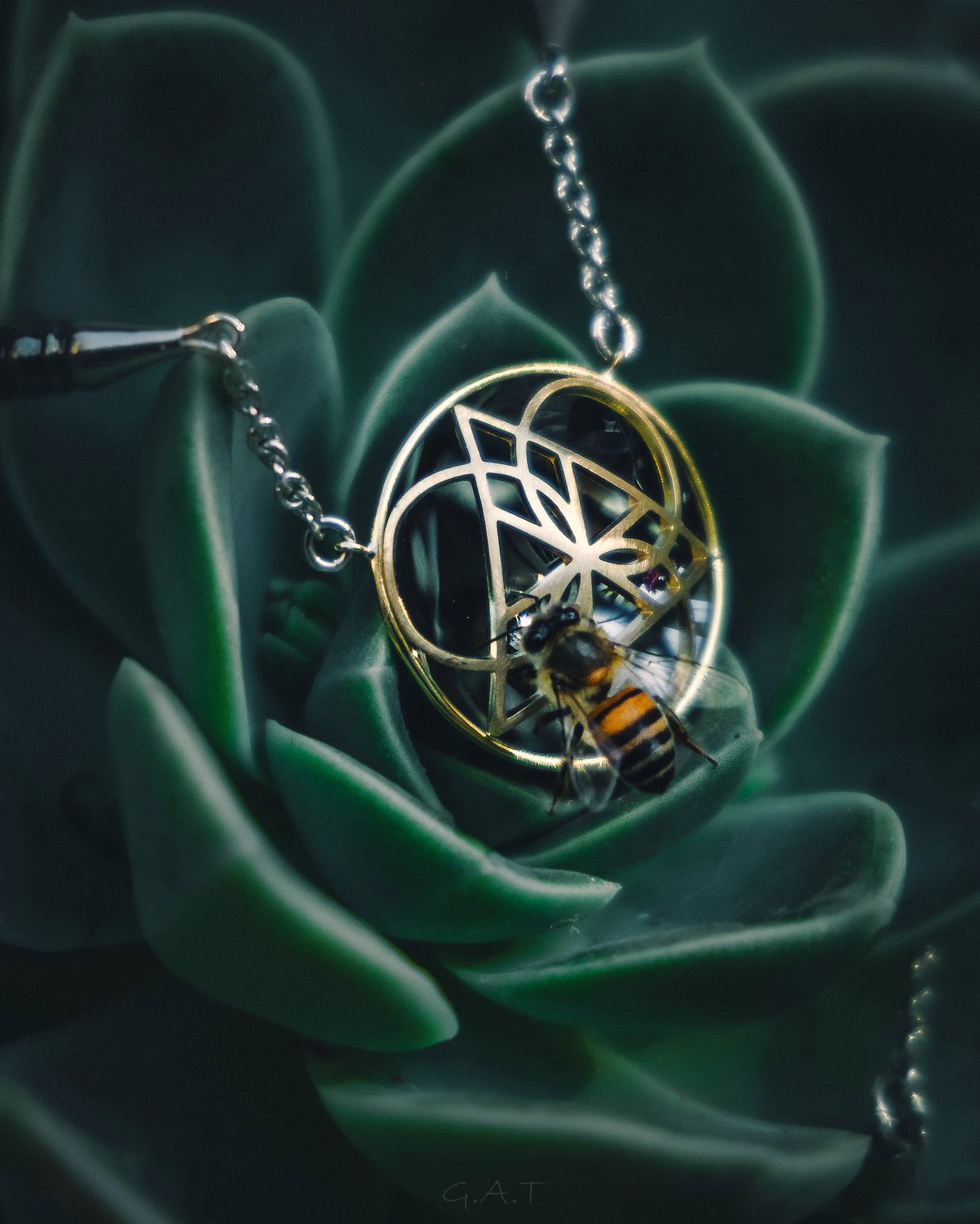 Introducing QUANTUM by Andreas Salver