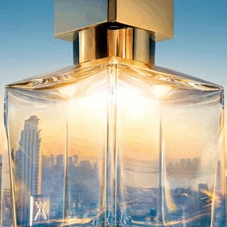 The Top Female Fragrances of 2022