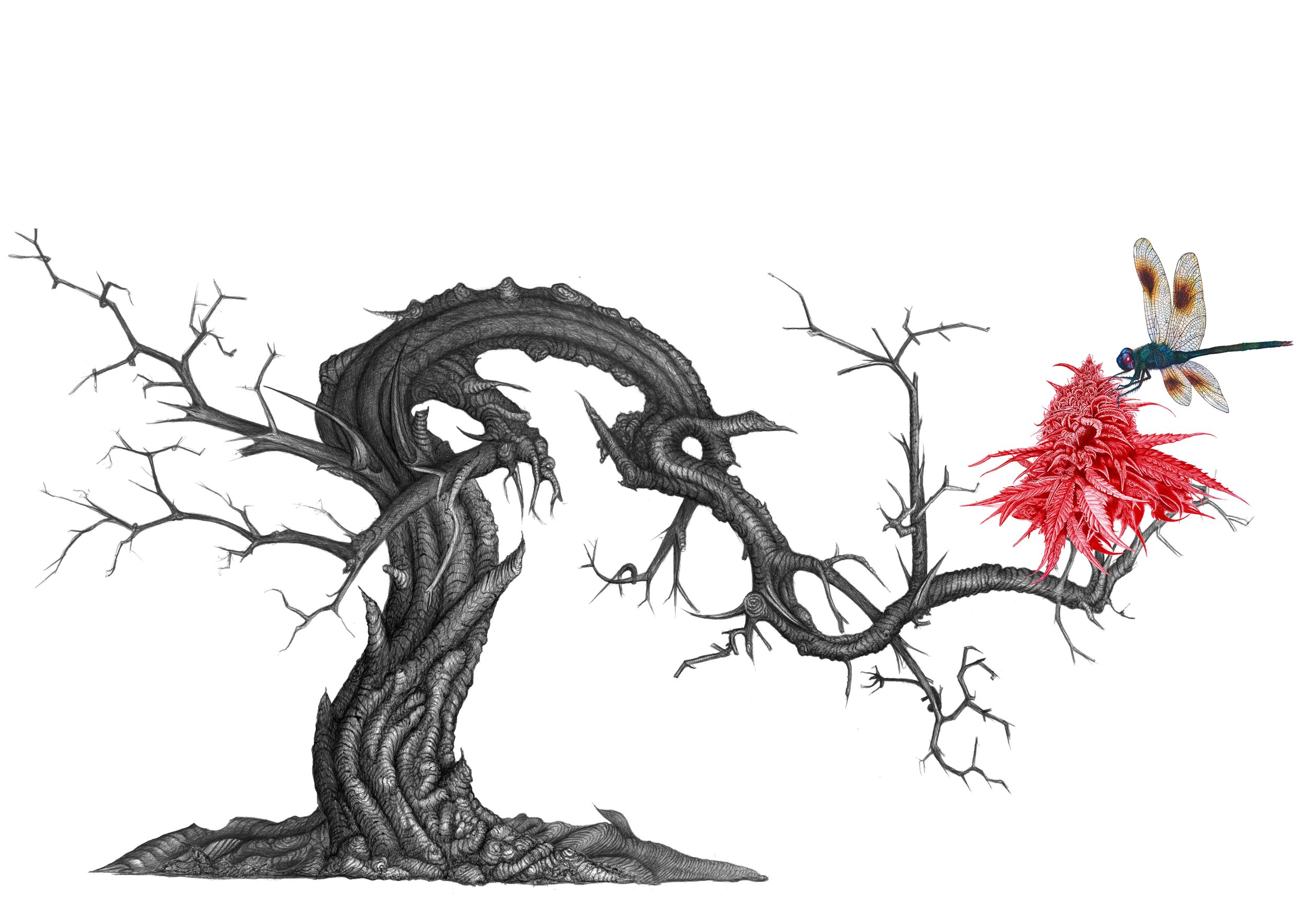Tree with Flower & DragonFly copy.jpg