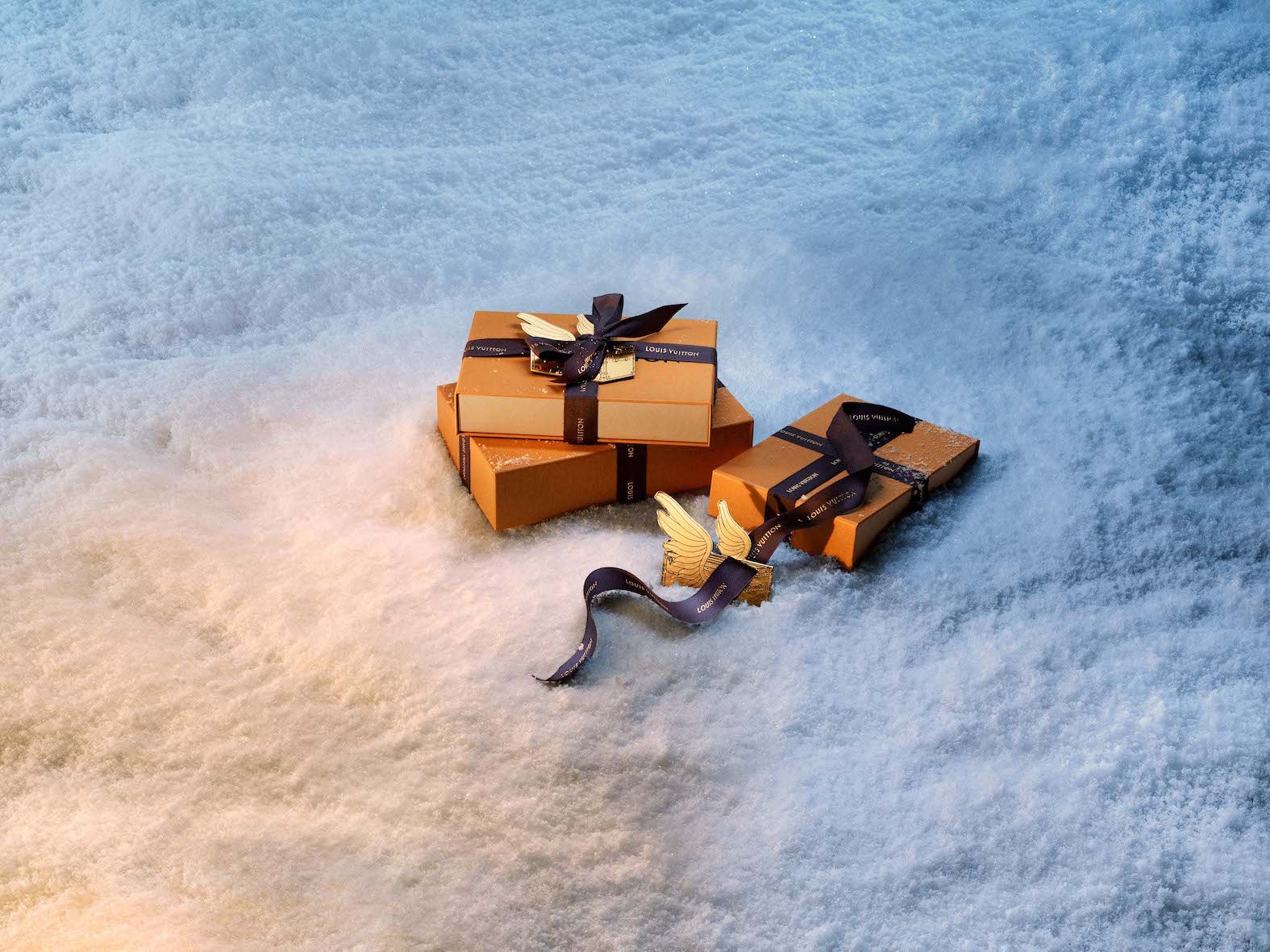 LOUIS VUITTON HOLIDAY 2025 CAMPAIGN 2  @Peter Langer.jpg