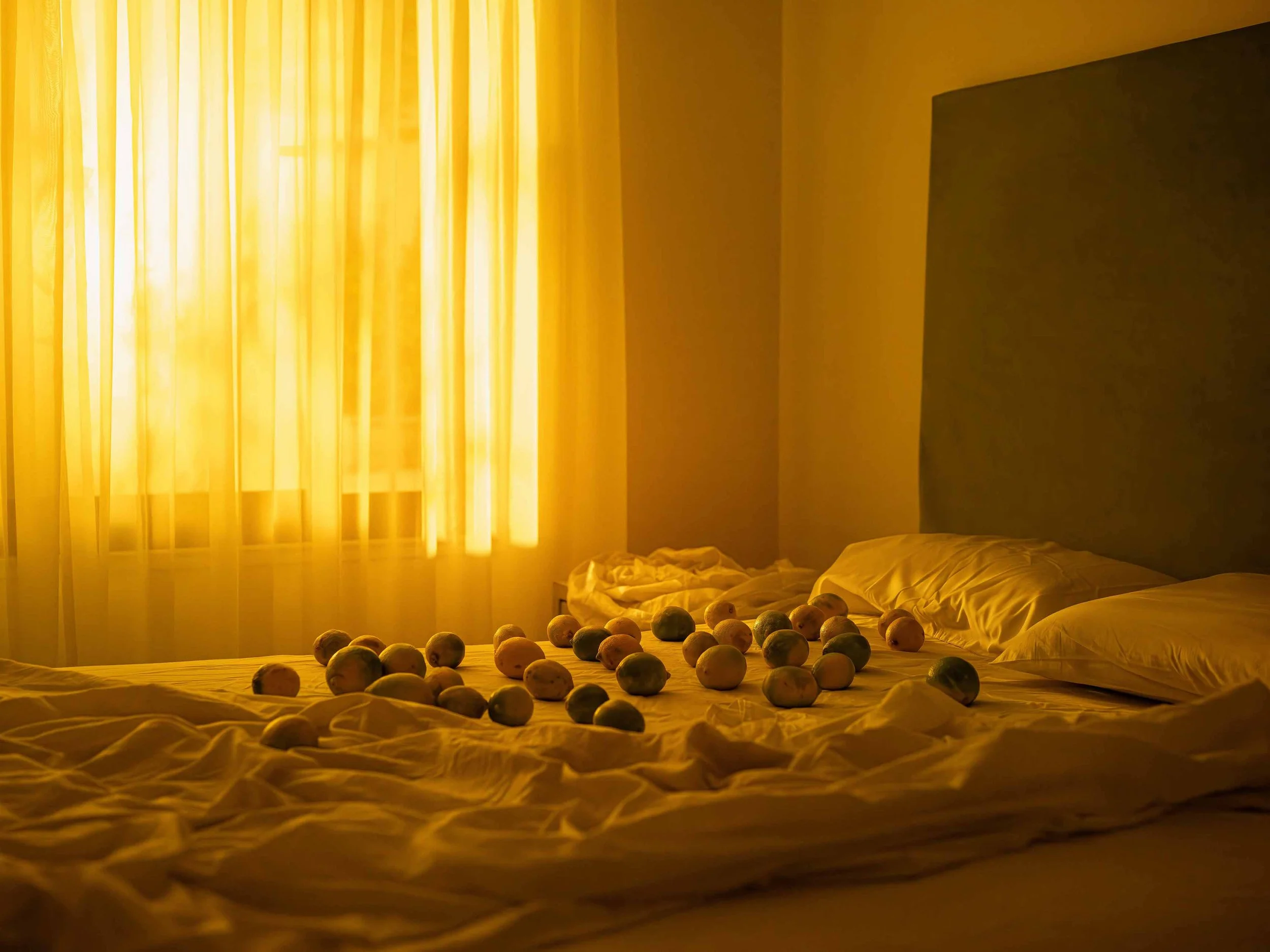 © Newsha Tavakolian - Magnum Photos.jpg