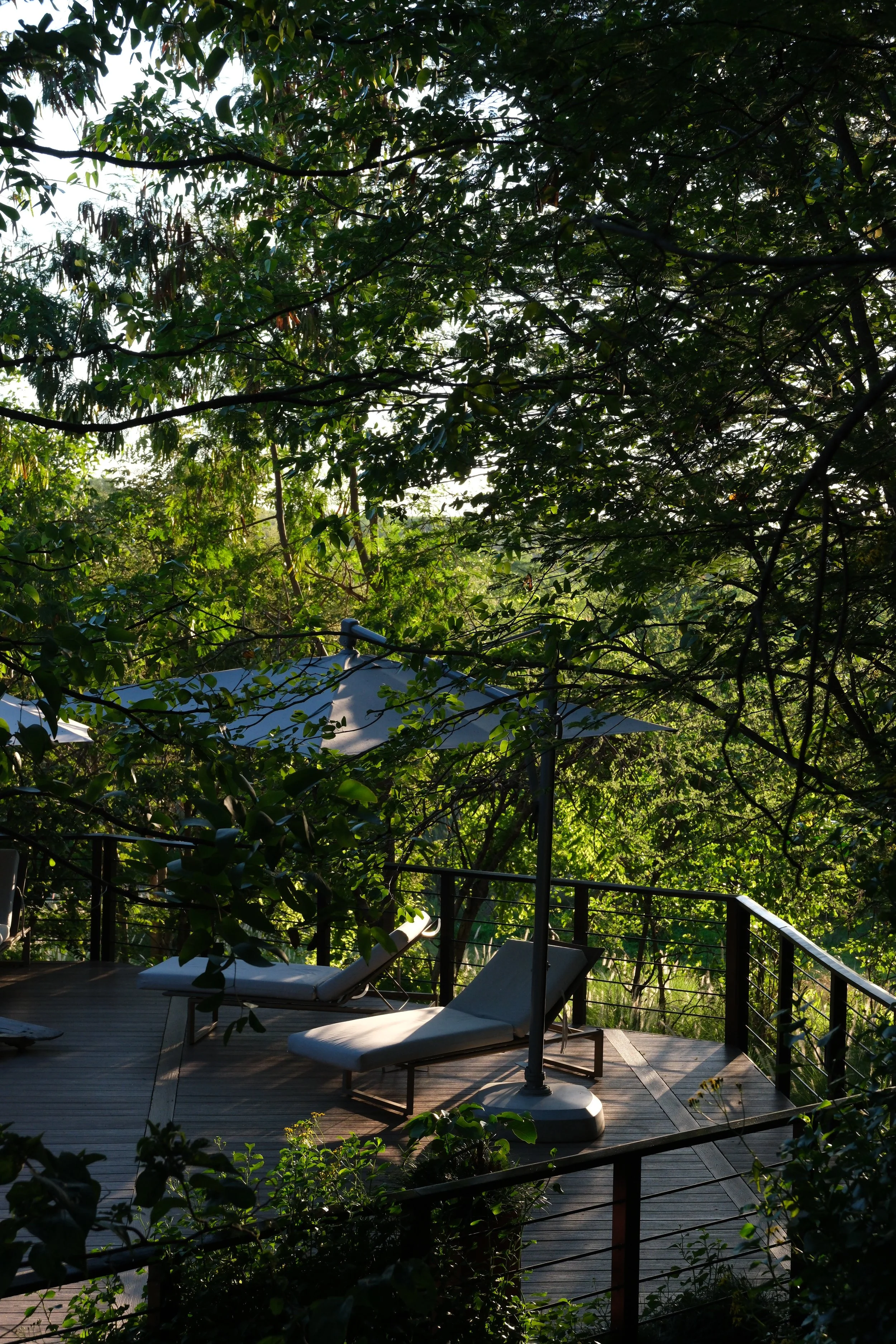 DSCF6225.JPG