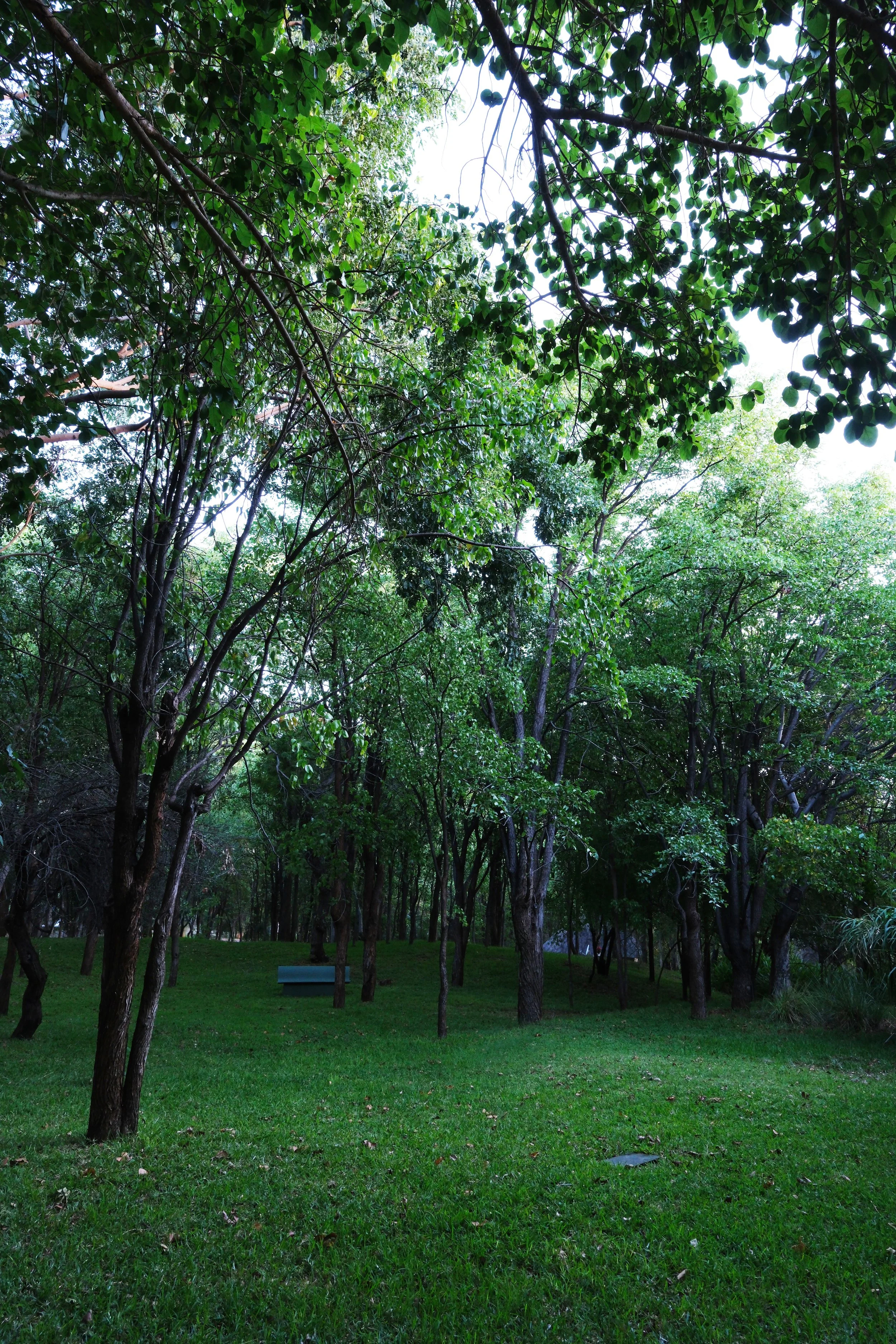 DSCF6204.JPG