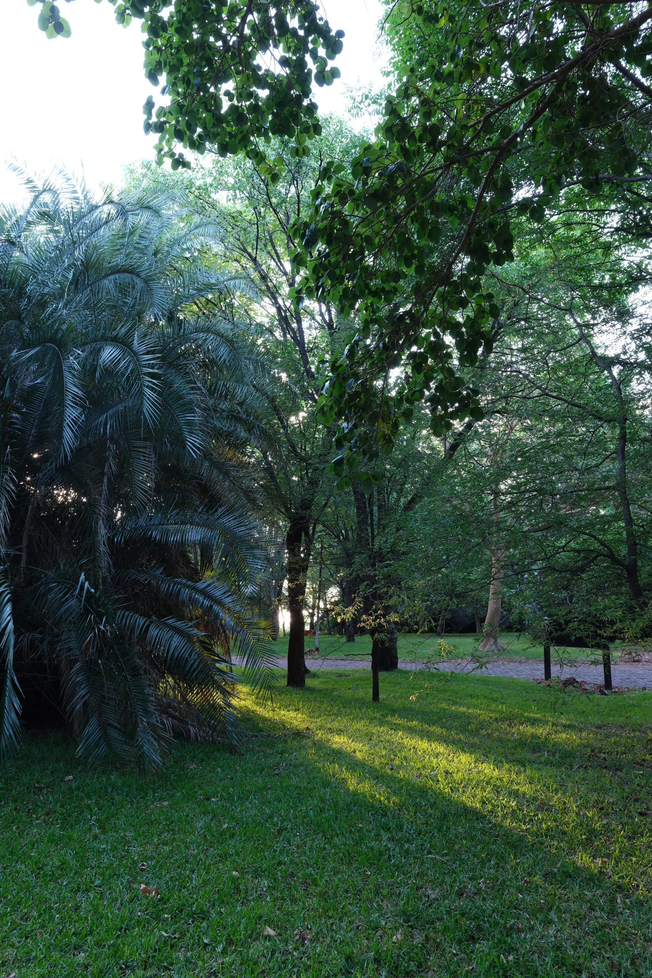 DSCF6209.JPG