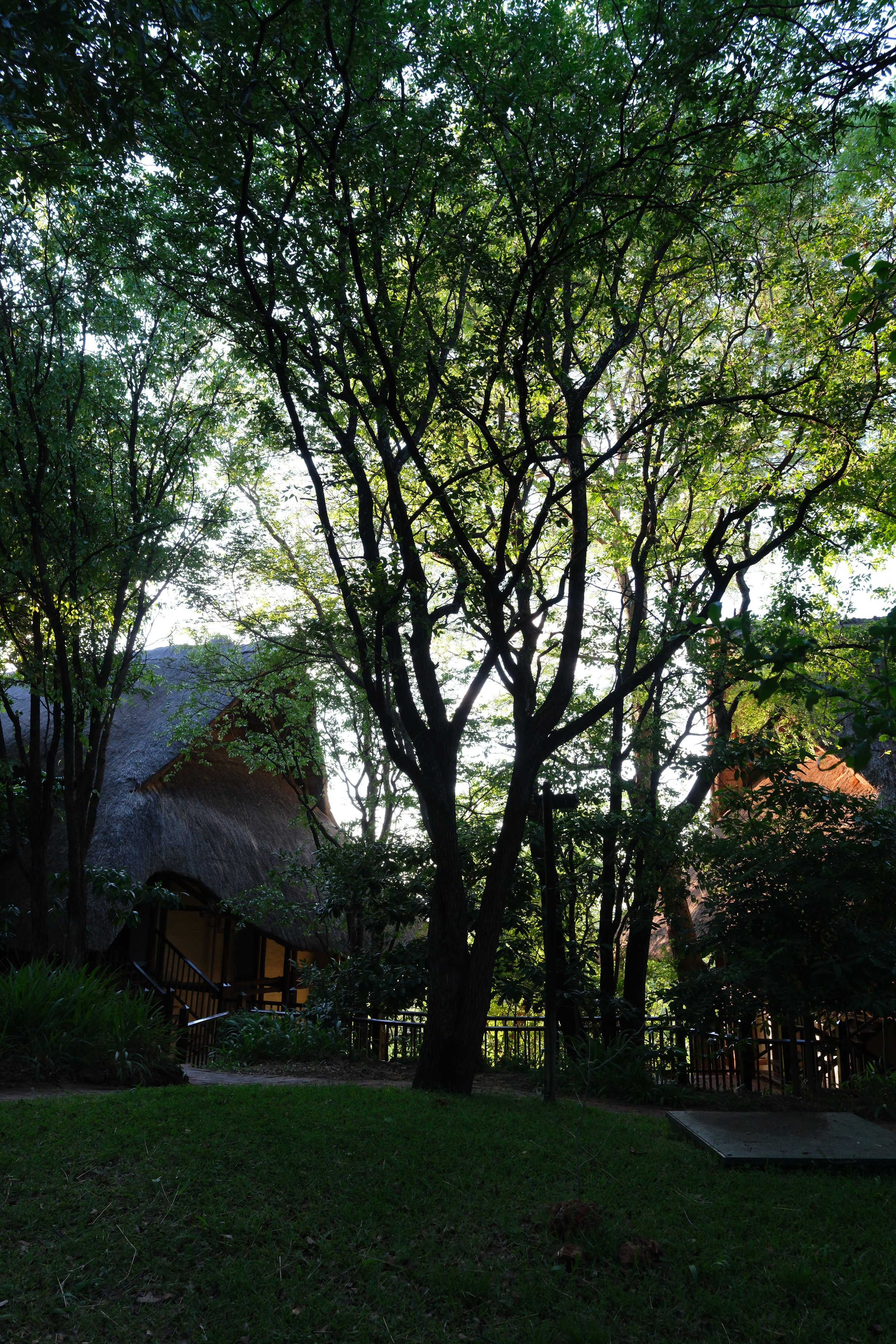 DSCF6232.JPG