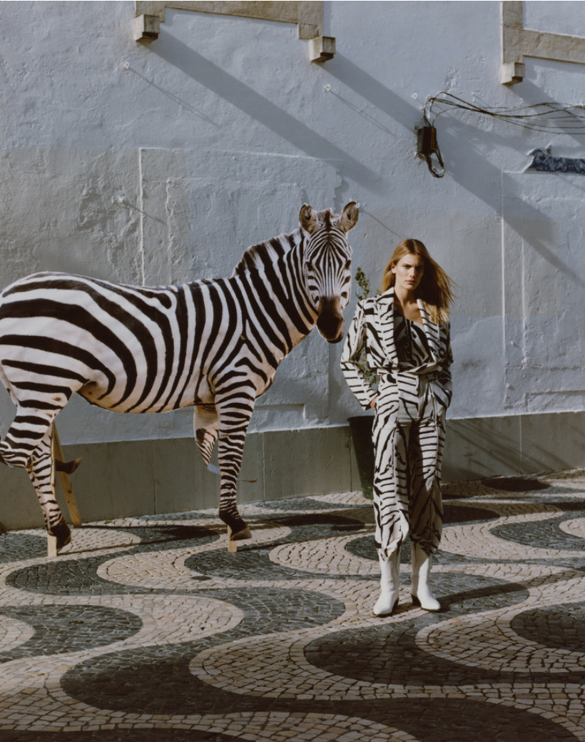 Screenshot 2026-01-01 at 12.00.52.png