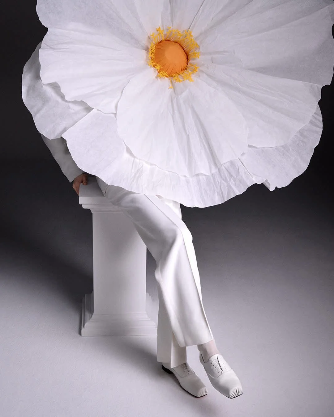 It All Began with a Wedding