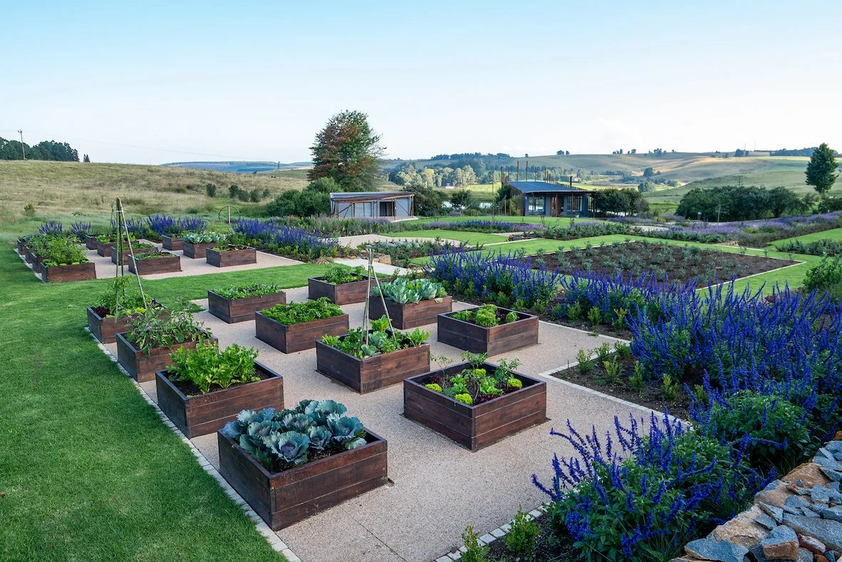 Copy of BH veggie garden.jpg