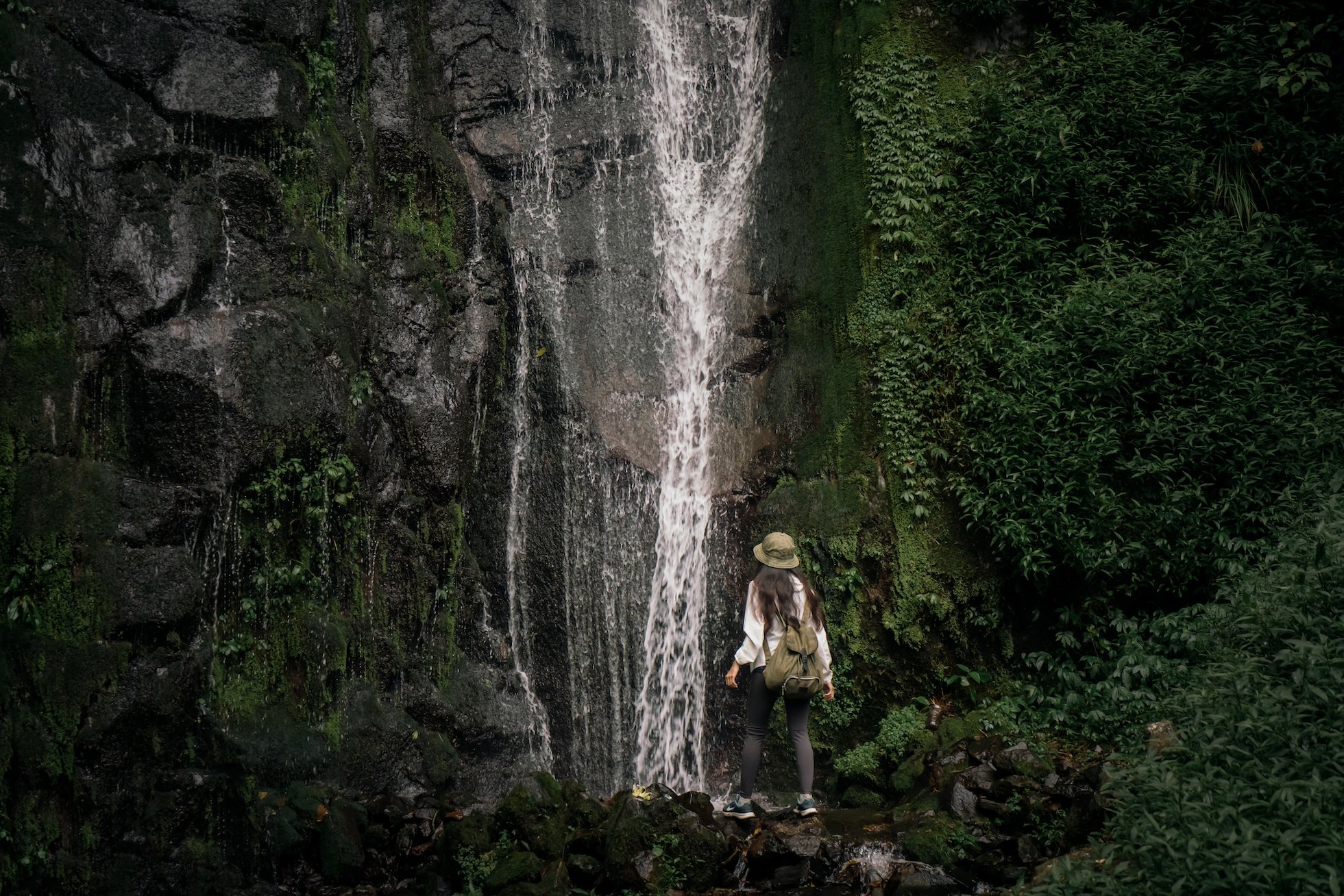 5 Hours - Speakeasy Foraging and Forest Bathing(1).jpg
