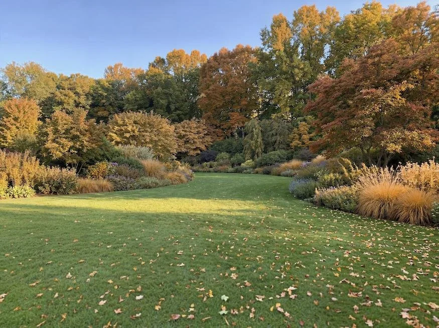 FOUR WAYS TO GARDEN MORE SUSTAINABLY THIS AUTUMN