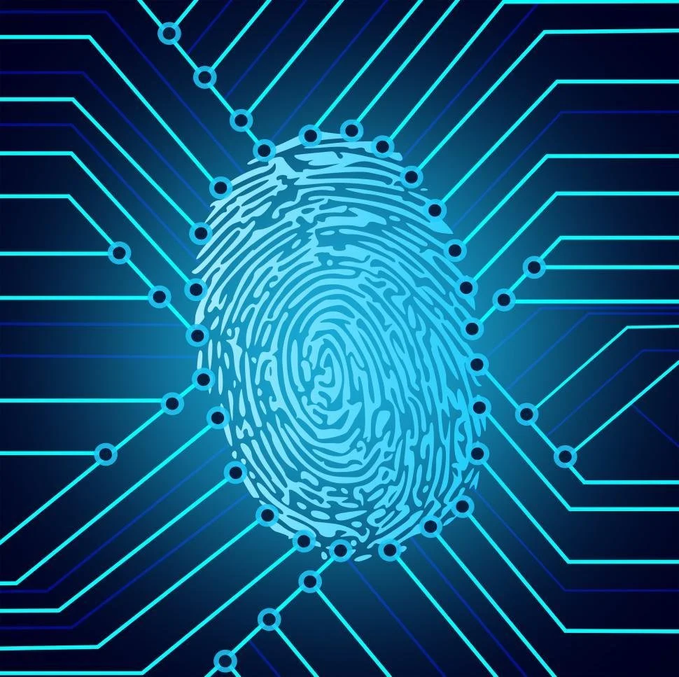 The Invisible Trail: How Online Activity Leaves a Digital Footprint