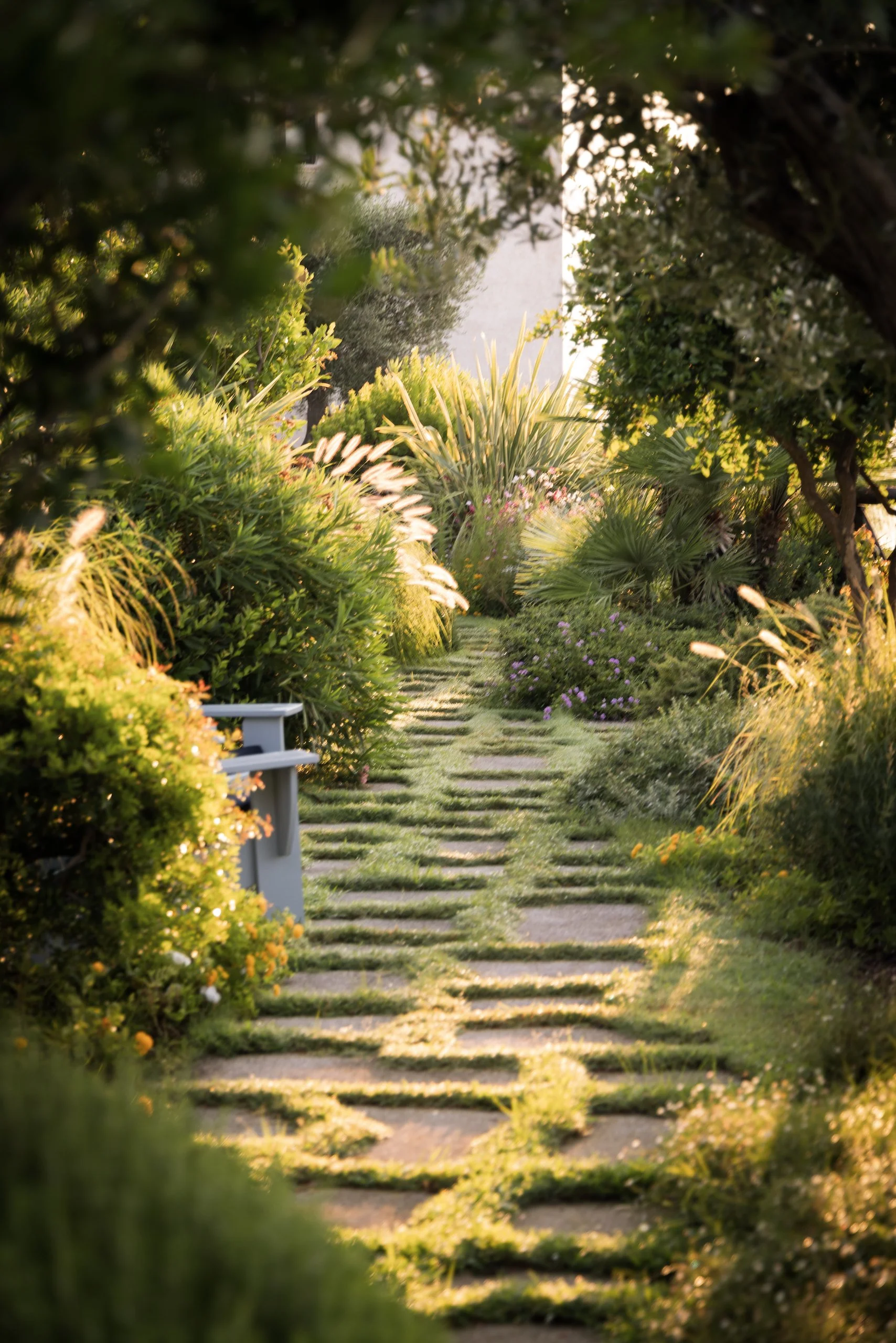 MSR_Garden1.jpg