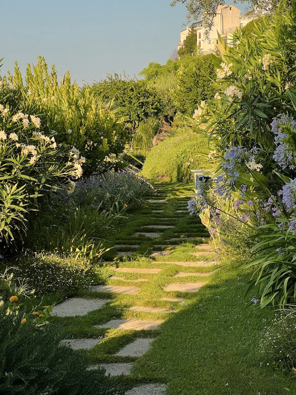 MSR_Garden2.jpg