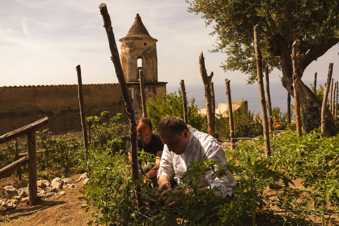 MSR_VegetableGarden1.jpg