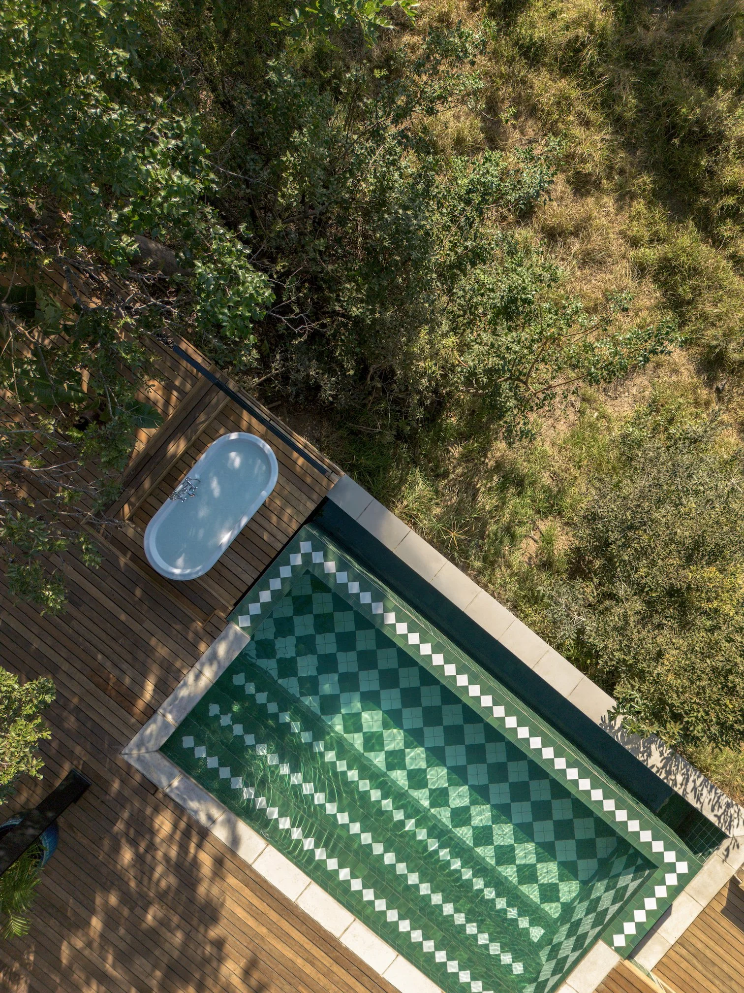 Malewane Lodge at Royal Malewane_Royal Suite Pool (10).jpg