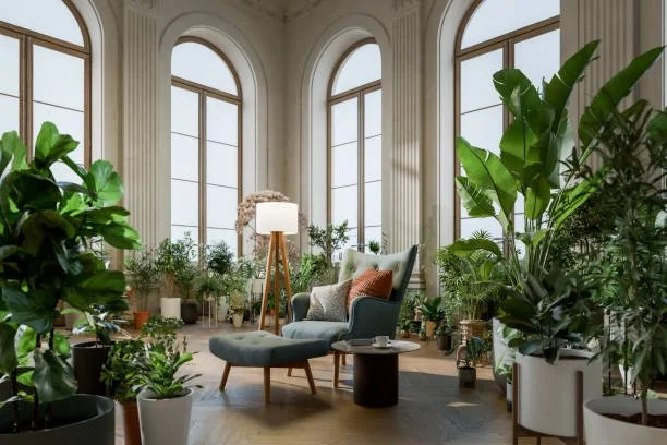 Why Every Home Needs a Touch of Greenery