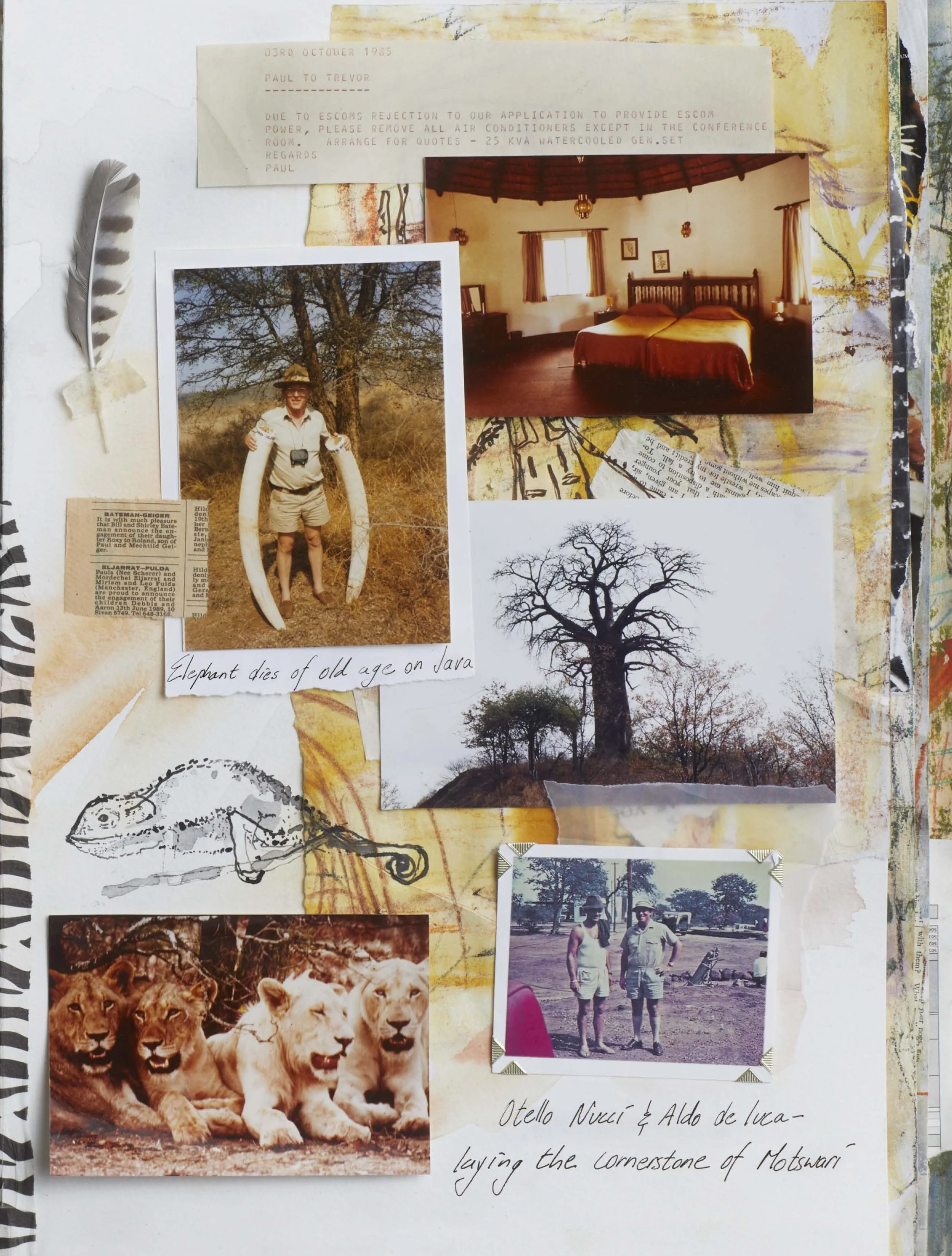 MOTSWARI 50 Final text pages copy_Page_013_Image_0001[51].jpg