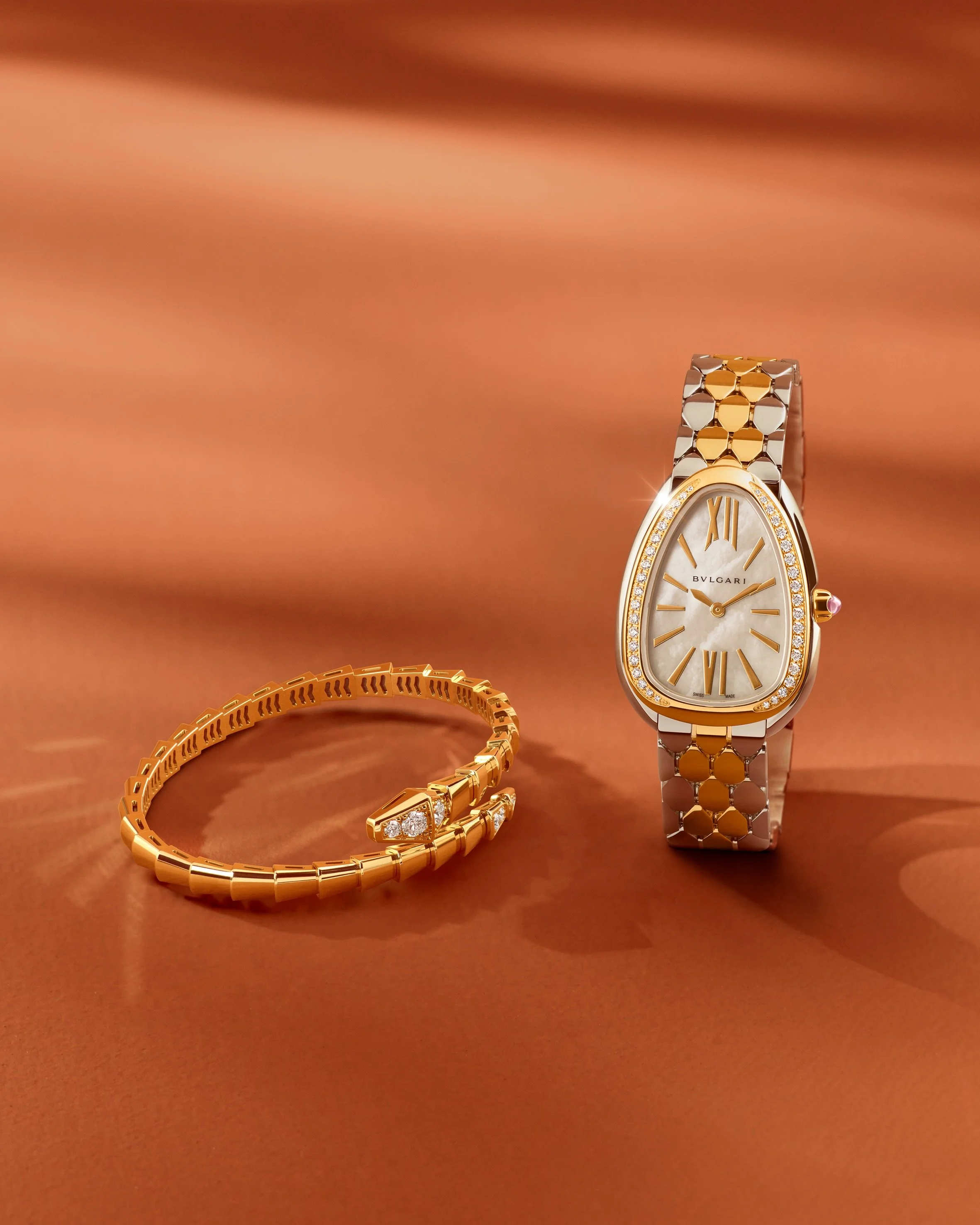 SEDUTTORI WATCH BRAC_BG PLATES 01-073.jpeg