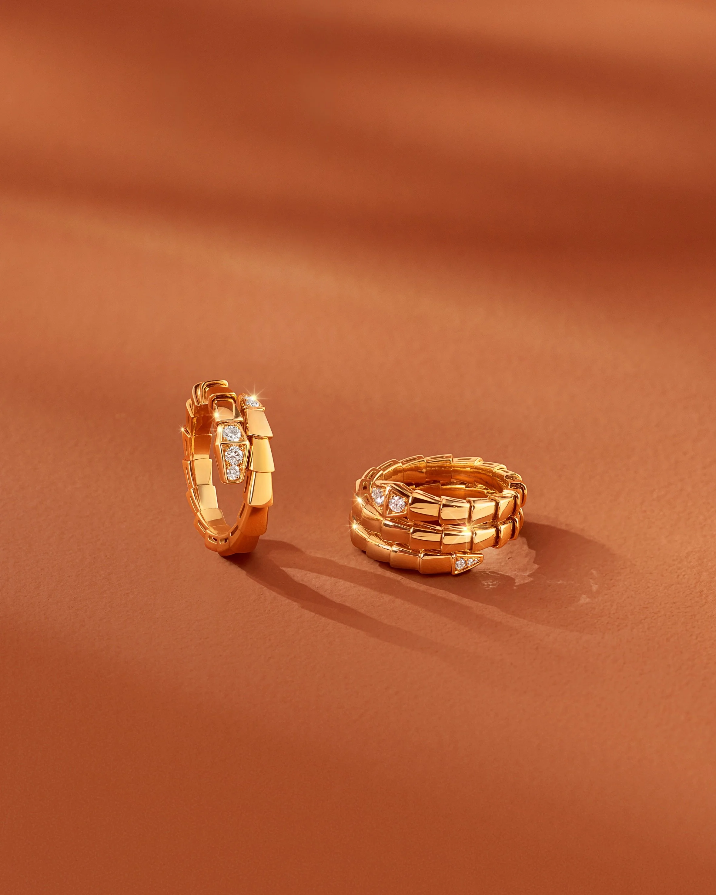 SERPENTI_RINGS_BG PLATES 01-080.jpeg