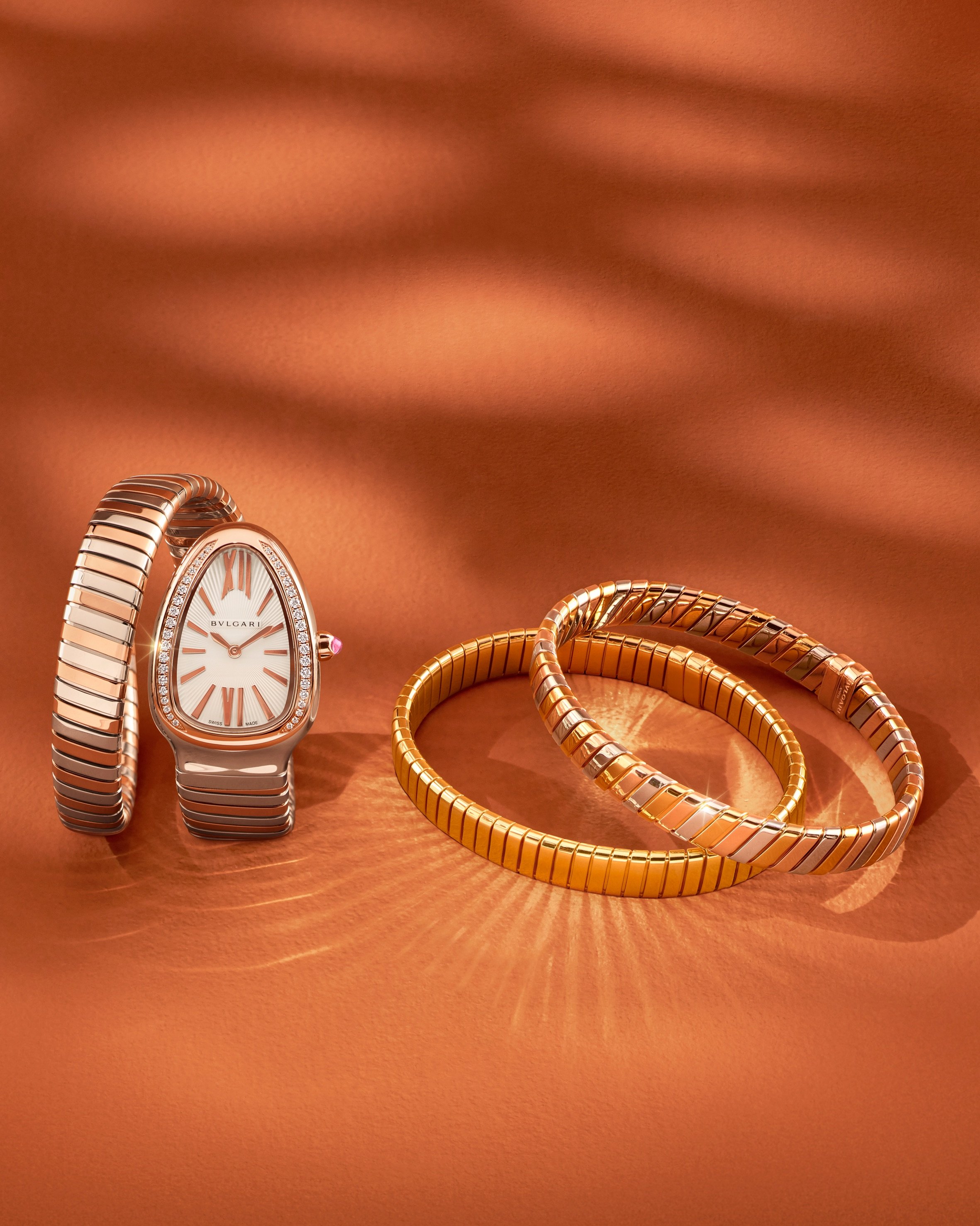 TUBOGAS_SERPENTI_BRAC_WATCH_BG PLATES 03-121.jpeg