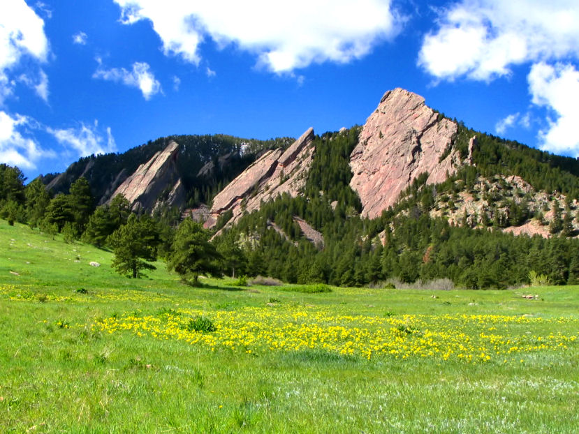 Flatirons_with_Spring_flowers.jpg