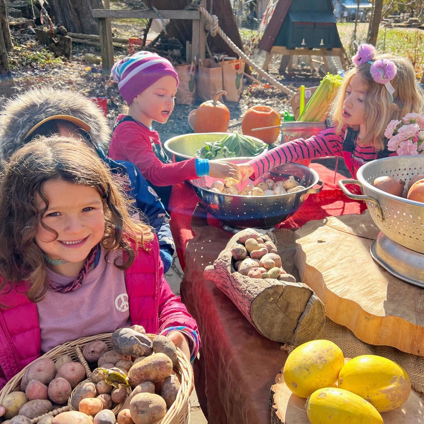 Another school tradition has arrived, as we celebrate our Randolph harvest as a community, enjoying a big feast, collaboratively prepared by everyone, including the friends who planted the seeds last spring. While we peel, chop, cook, and eat, we&rsq