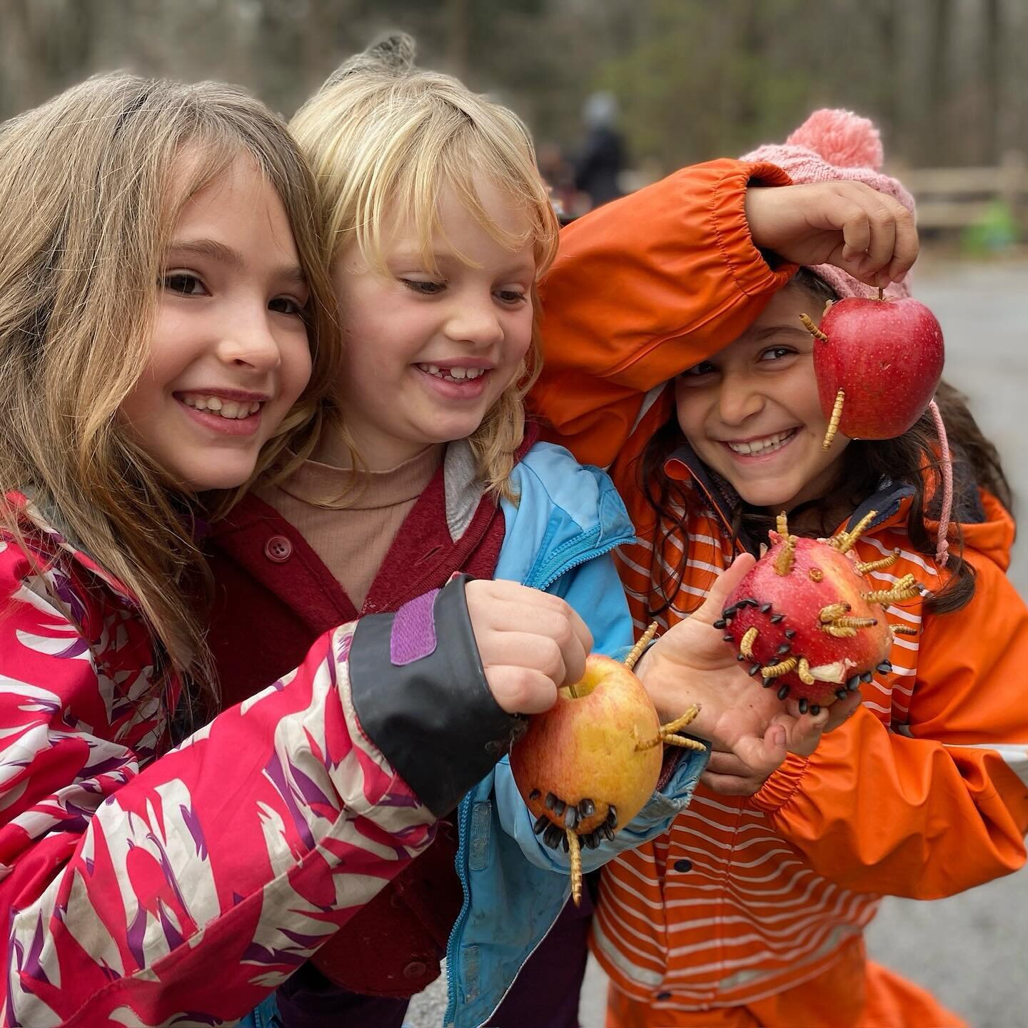 More gifts, this time for our chickens. 🍎🪱🐓

#OutdoorSchool #OutdoorClassroom #NatureSchool #ForestSchool #NatureSchooling #OptOutside #EcoSchool #InquiryBasedLearning #ExperientialEducation #NatureBasedLearning #ProgressiveEducation #HudsonValley