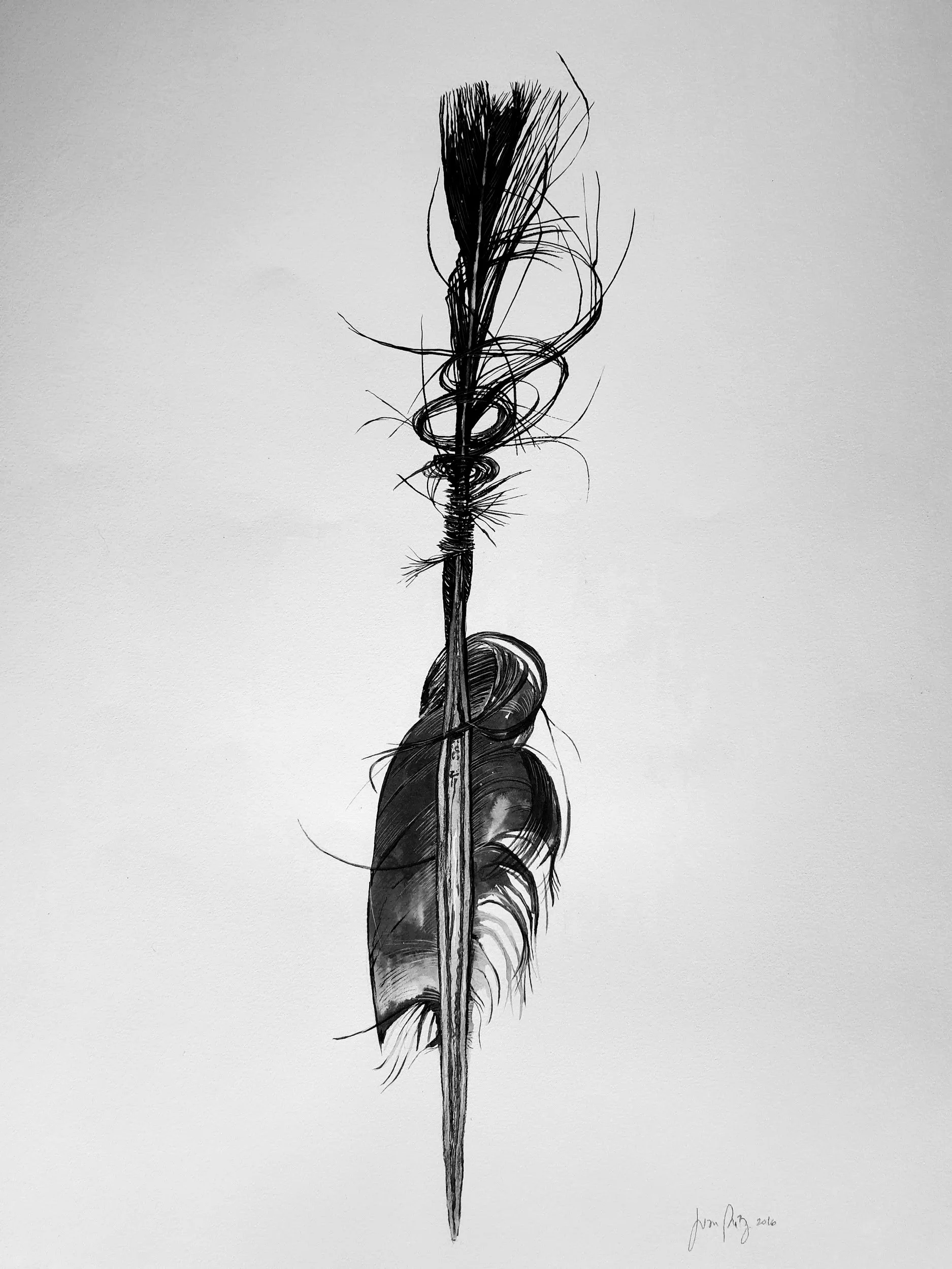 A feather that turns like a tornado to the floor © Juan Eduardo Páez Cañas