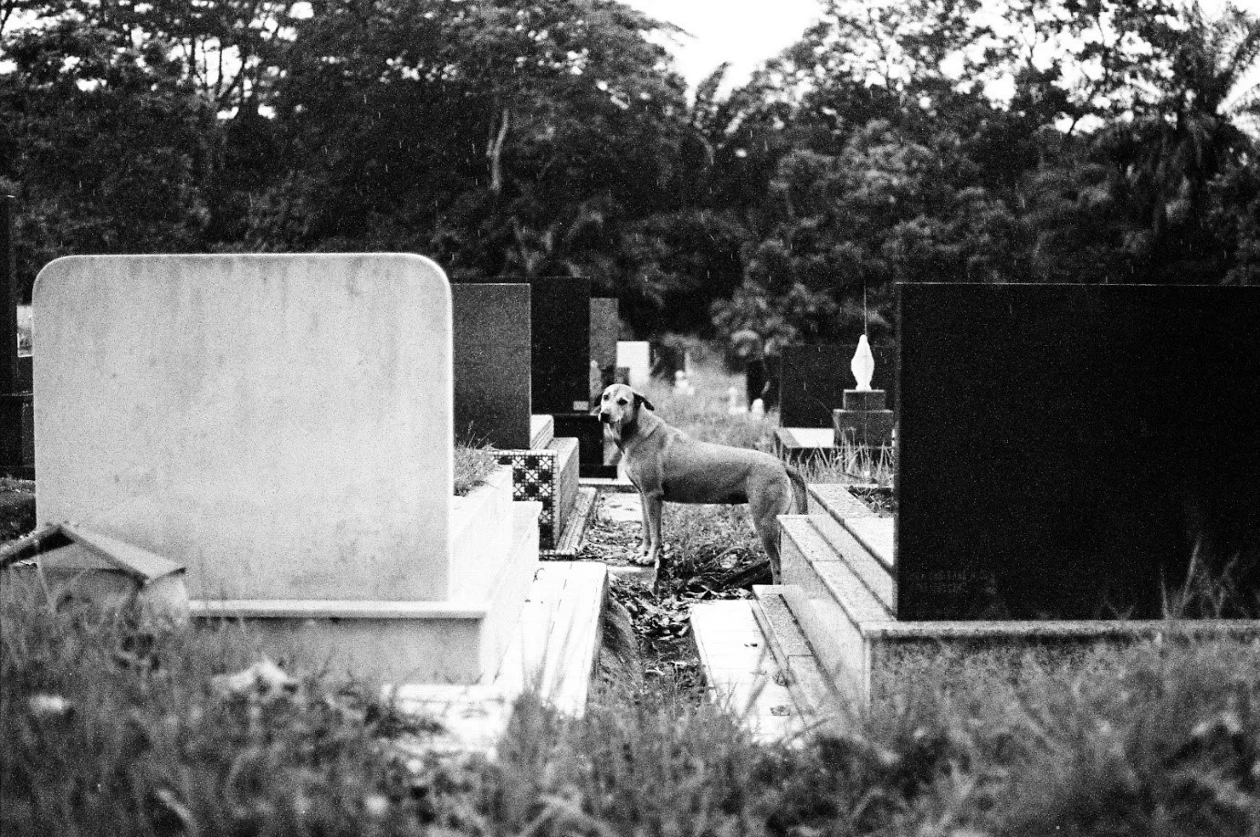 Epitaph (ii), Singapore © Tay Tsen-Waye