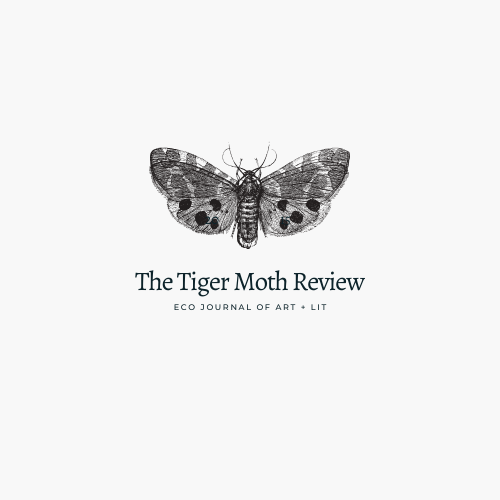 The Tiger Moth Review