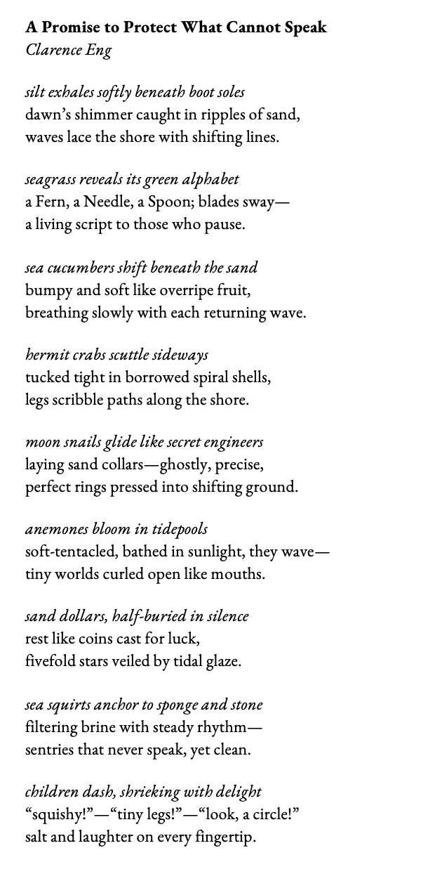 A Promise to Protect What Cannot Speak 