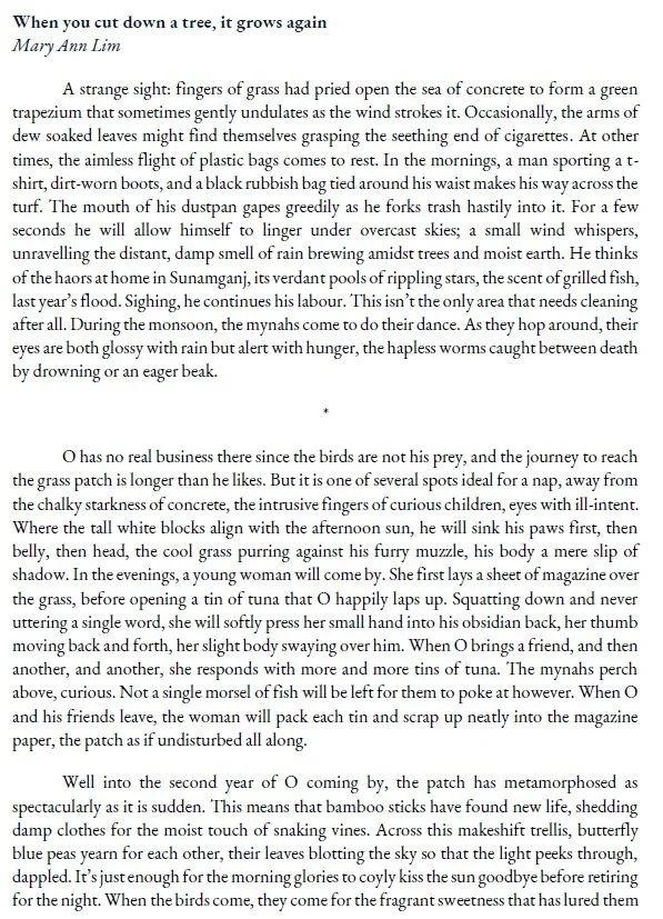 When you cut down a tree, it grows again