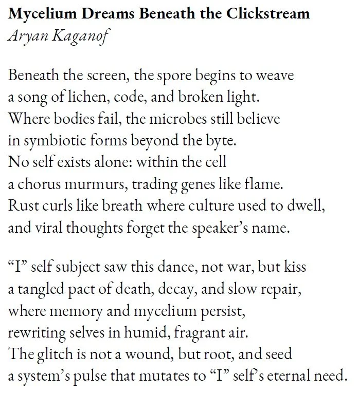 Mycelium Dreams Beneath the Clickstream