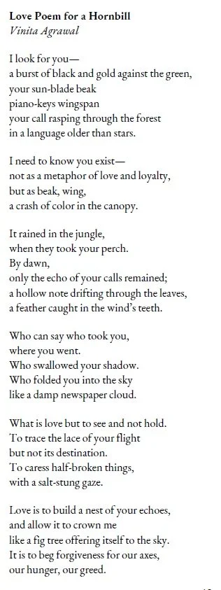 Love Poem for a Hornbill