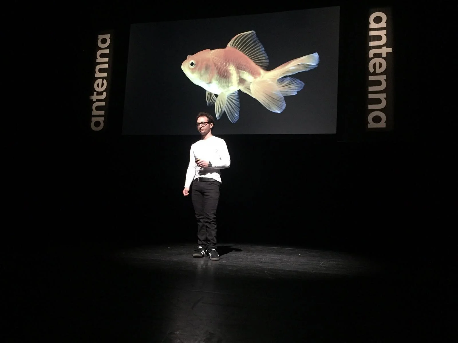 Antenna 2019_MW_01.JPG