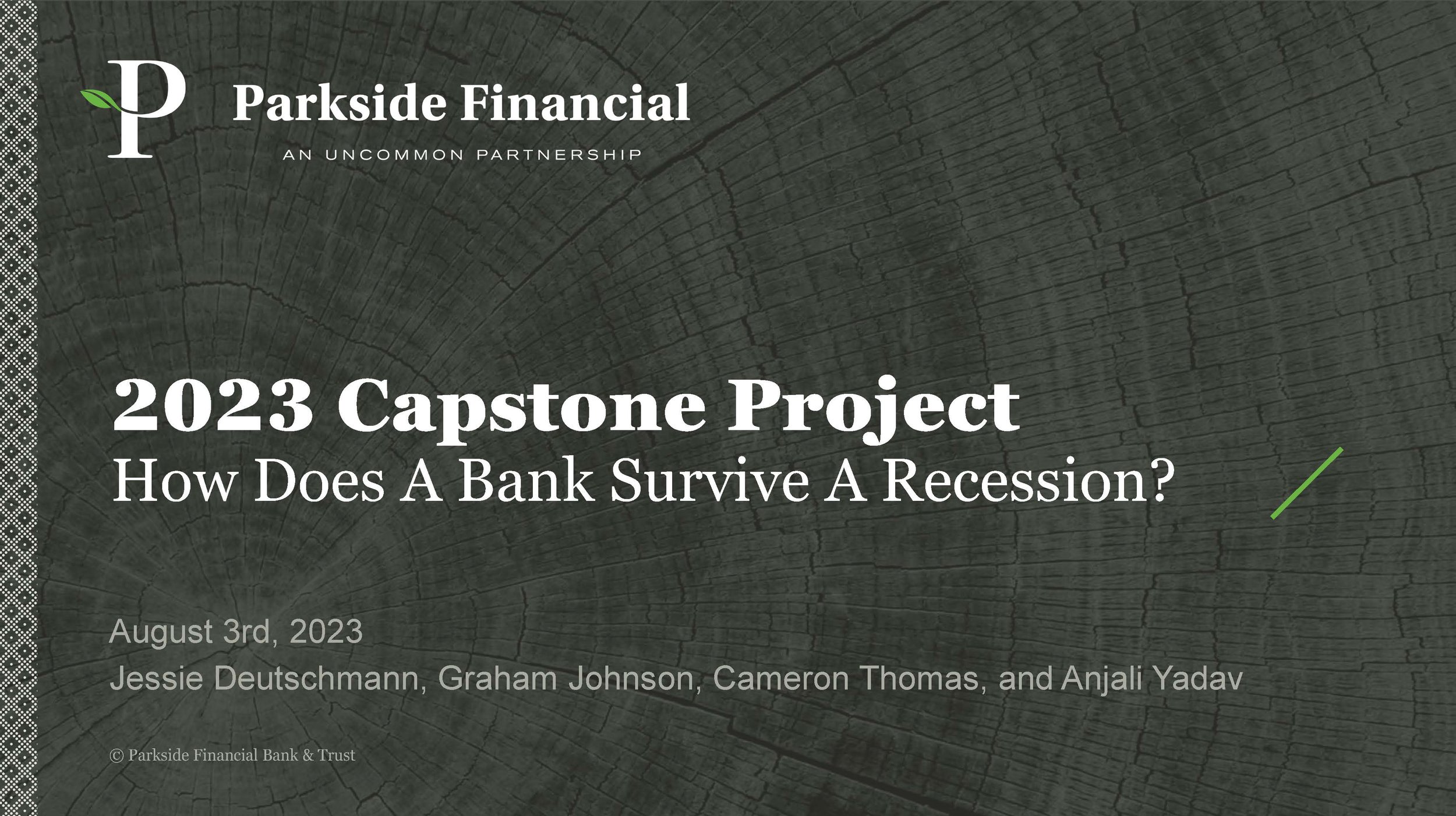 Capstone Project PPT_Page_02.jpg