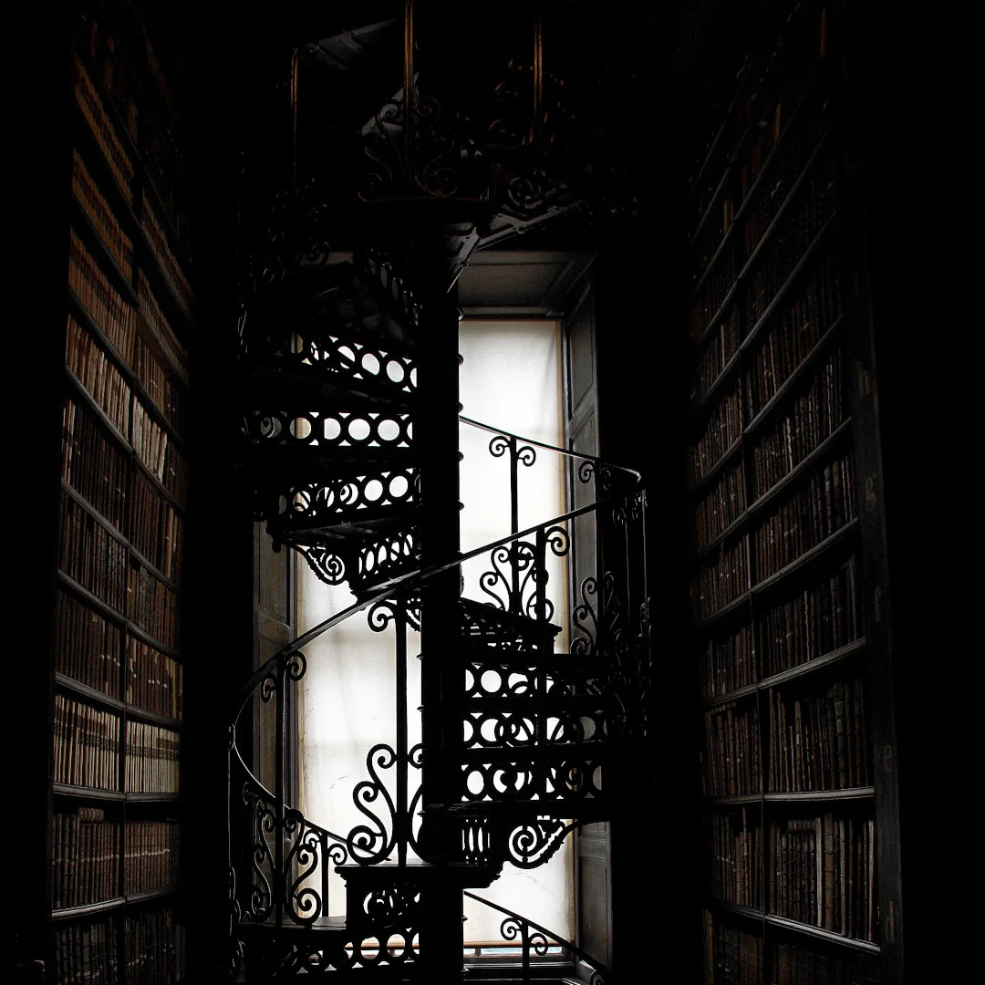 The Carriage My Family Laid