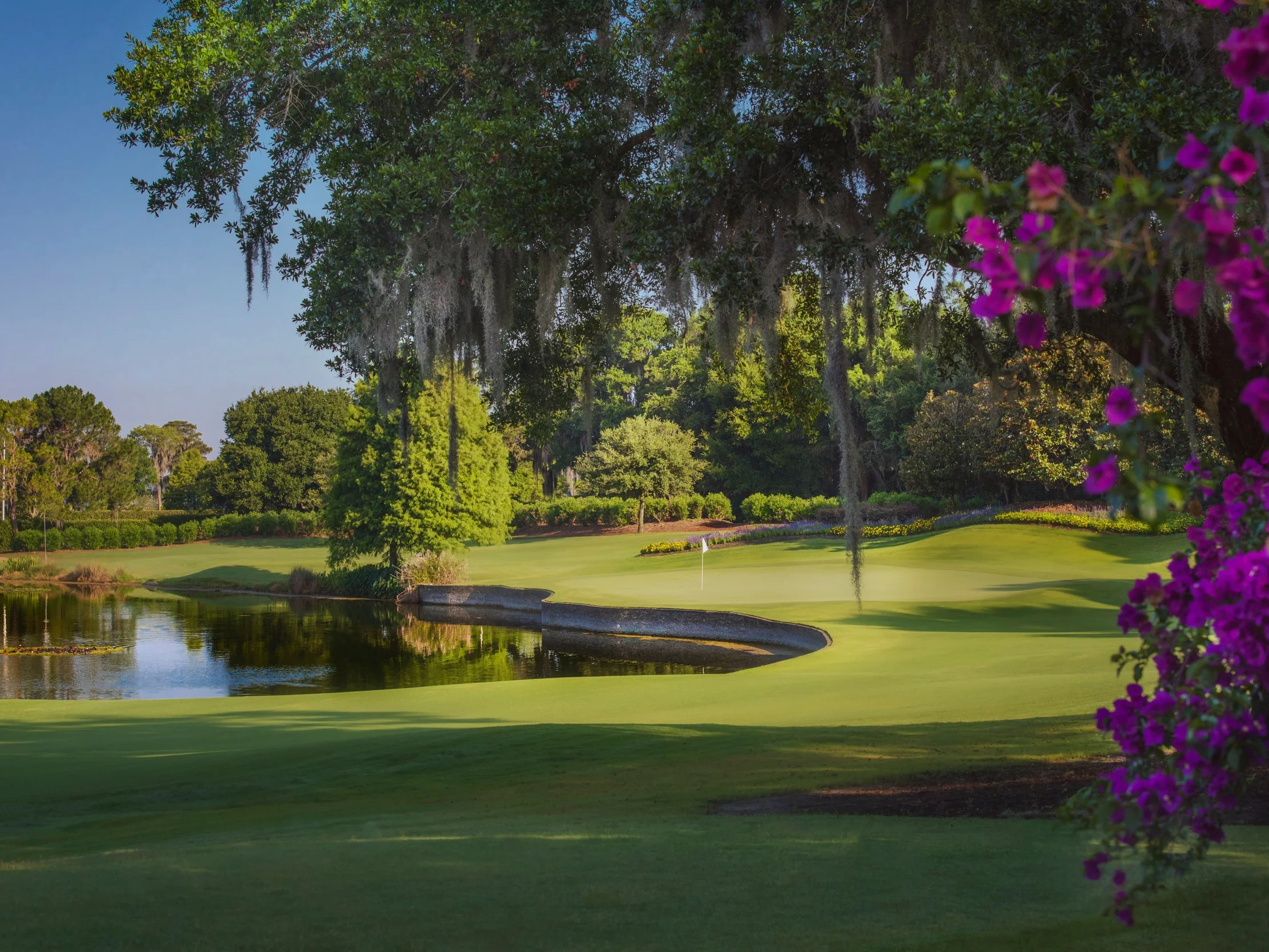 Golf-Top shot.jpg