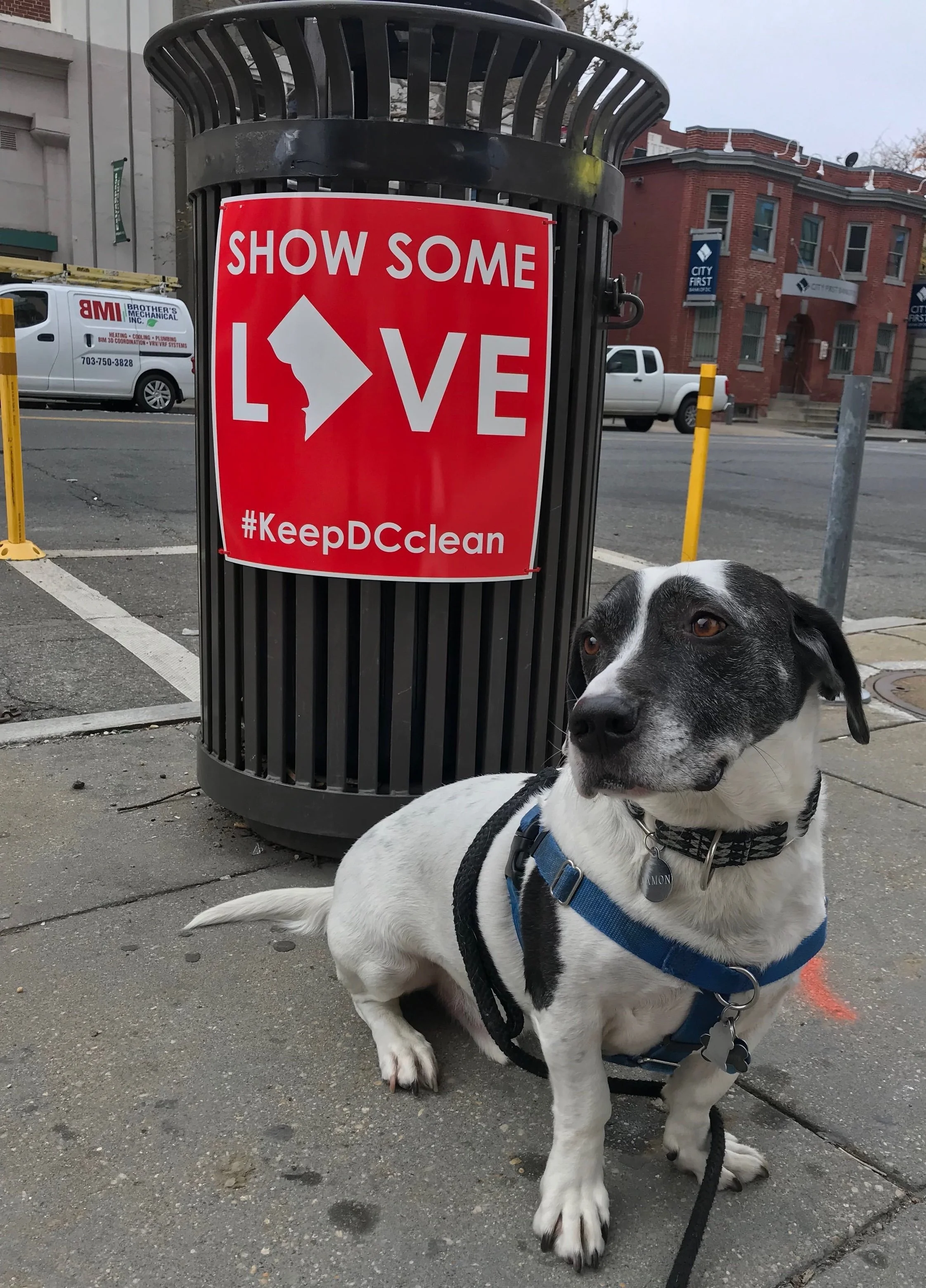 A Lab staff member’s dog poses with a behaviorally informed Smart Can sign. (Credit: The Lab @ DC)
