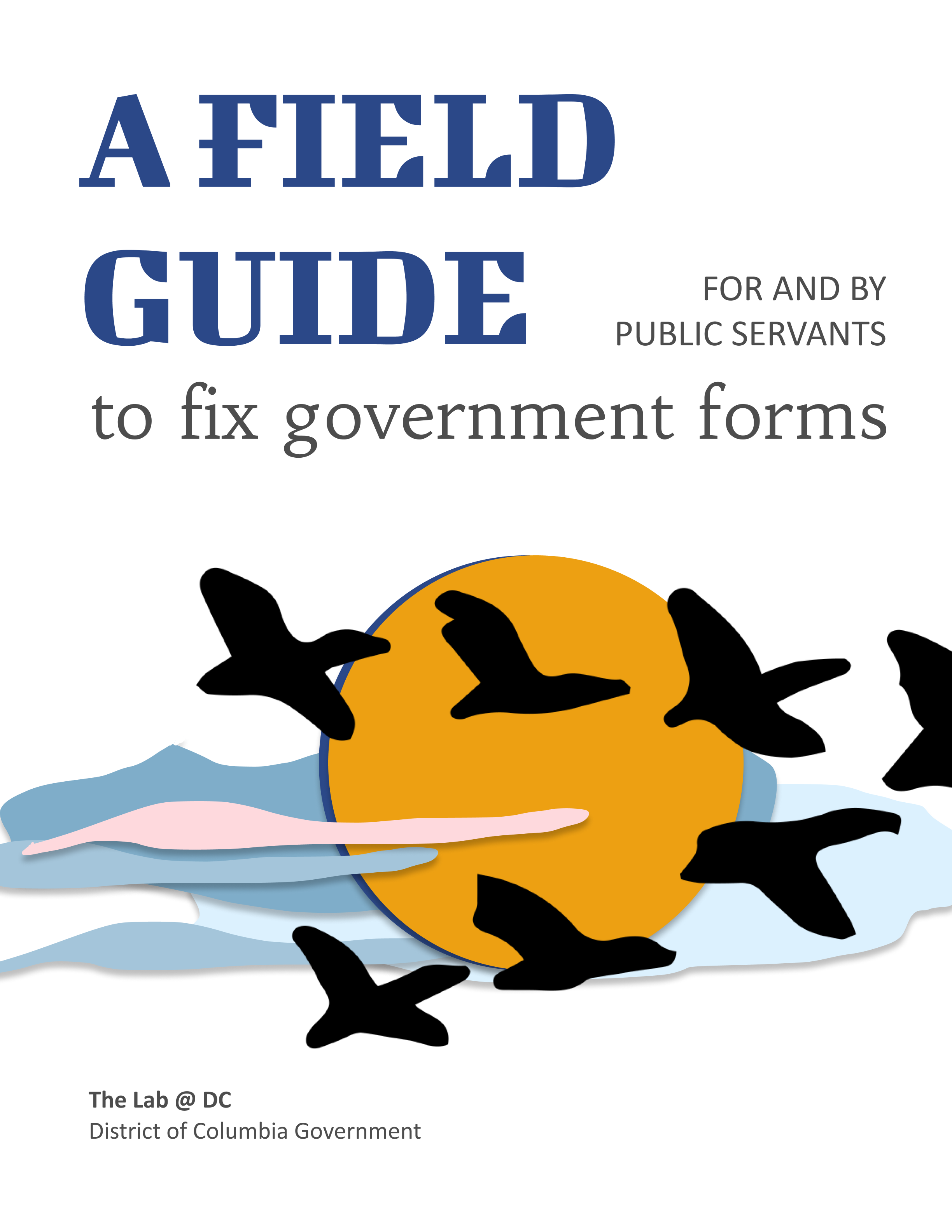 A Field Guide to Fix Government Forms is Live — The Lab @ DC
