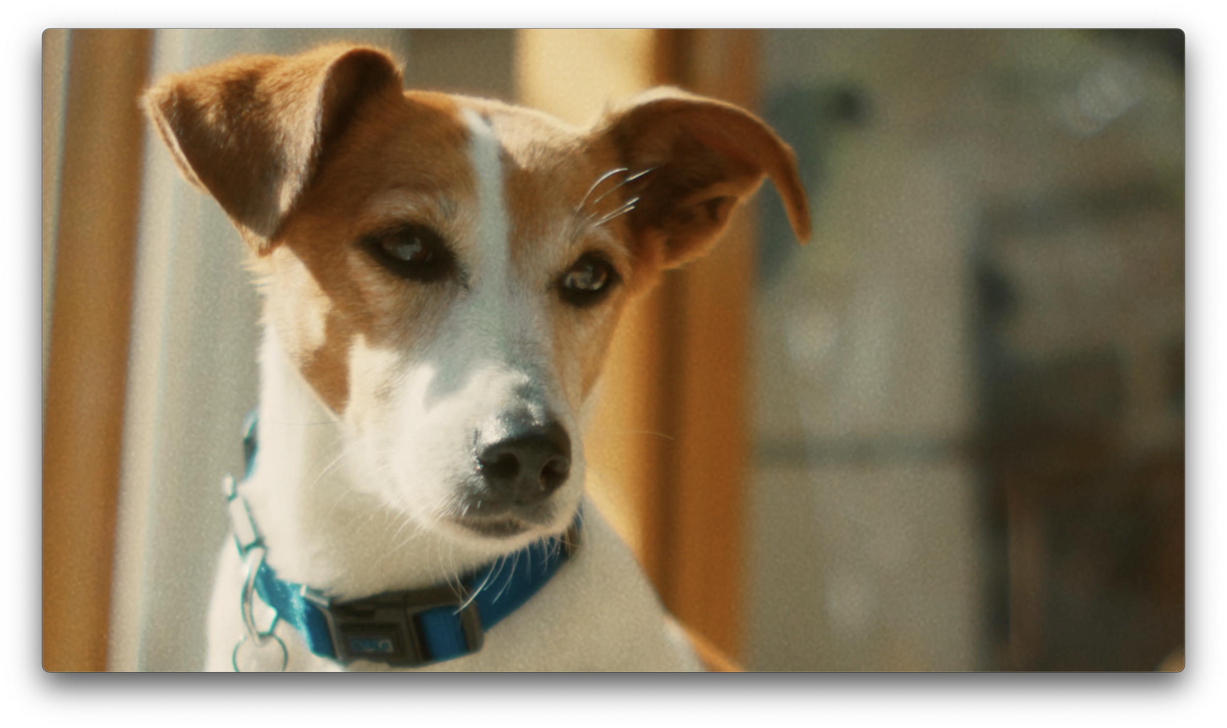 Screenshot 2025-01-13 at 13.40.43 1.png