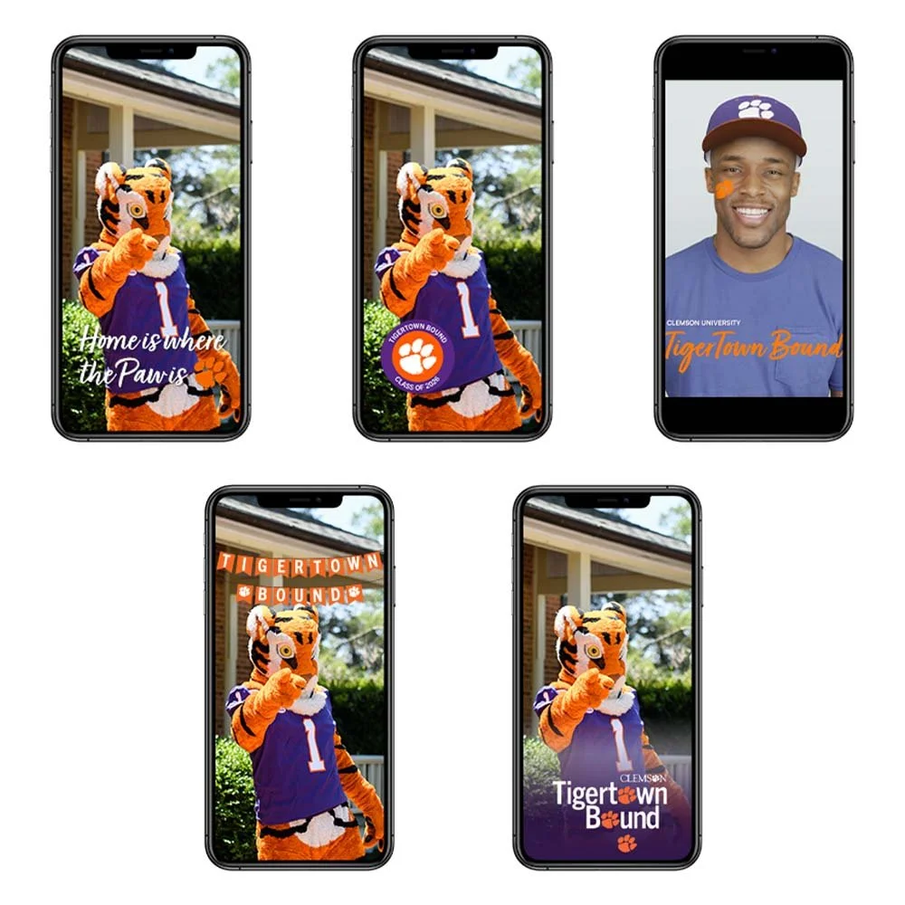 Tigertown Bound-1.jpg
